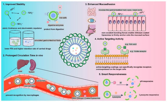 The Advantages of Chitosan Coating.