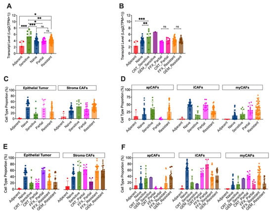 Treatment-dependent modulation of FAP expression and CAF subtype composition in human PDAC by integrated bulk RNA-seq and BayesPrism deconvolution (individual sample analyses): (A) FAP transcript expression levels across treated and untreated tissues. (B) FAP transcript expression levels based on the type of treatment in each response group. (C,D) BayesPrism cell-type deconvolution results showing estimated proportions of major cell types (epithelial tumor cells and stromal CAFs) (C), and CAF subtypes (inflammatory CAFs [iCAFs], myofibroblastic CAFs [myCAFs], and antigen-presenting CAFs [apCAFs]) (D) in each major treatment group. (E,F) Stratification of epithelial and stromal CAFs (E), and subtypes of CAFs (F) based on the type of neoadjuvant treatment in each group. Data are presented as mean ± SD. Each data point represents one tissue sample (1 to 8 samples per patient are included). * p < 0.05, ** p < 0.001, *** p < 0.0001, ns: not significant in one-way ANOVA test.