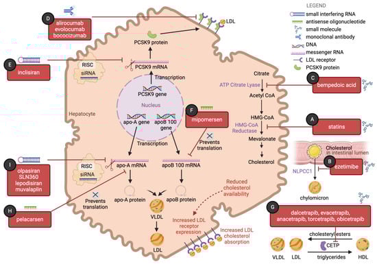 Pharmacoepidemiology 03 00009 g001