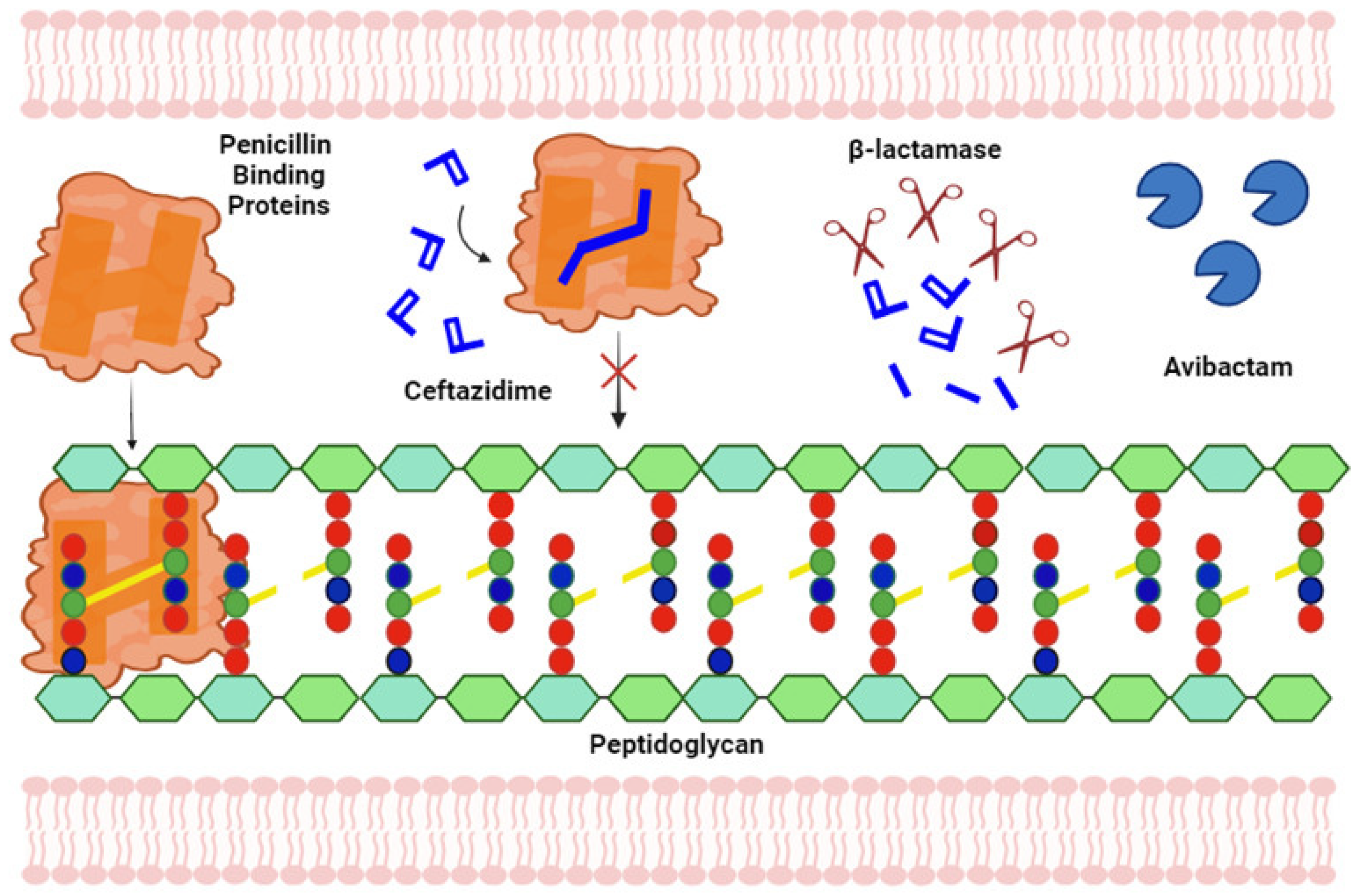 Pharmacoepidemiology 03 00024 g001