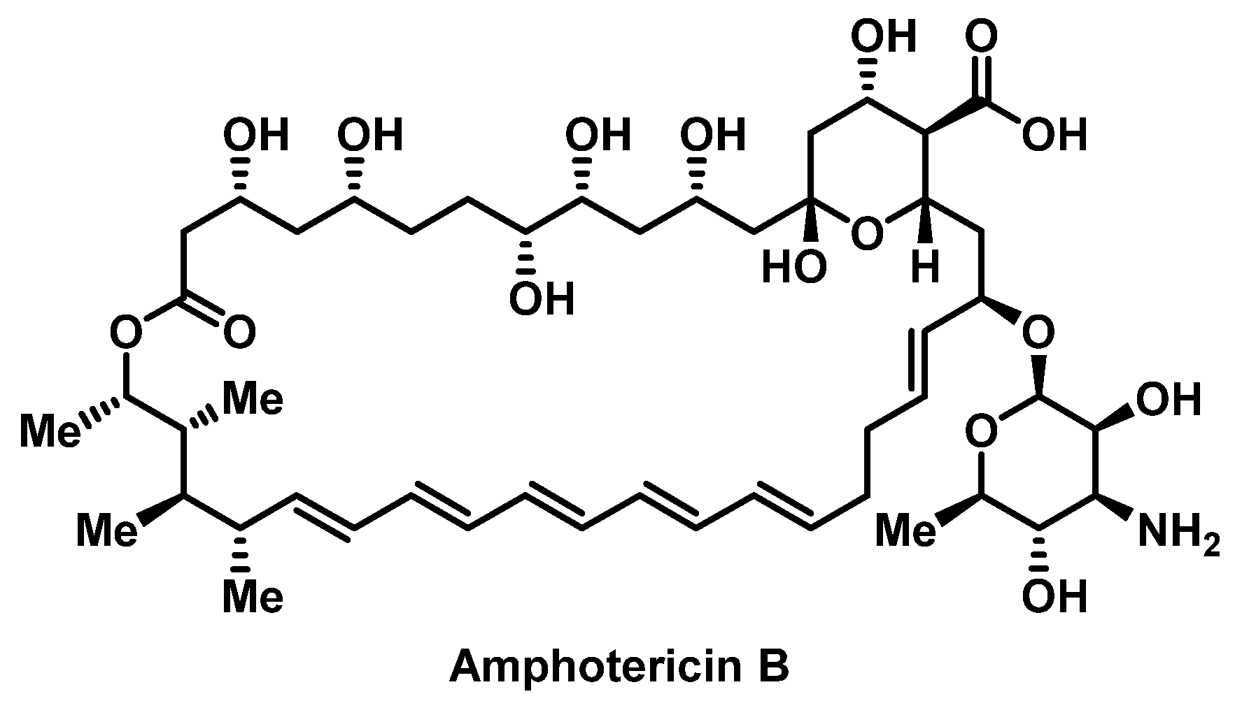Pharmacy 07 00112 g015