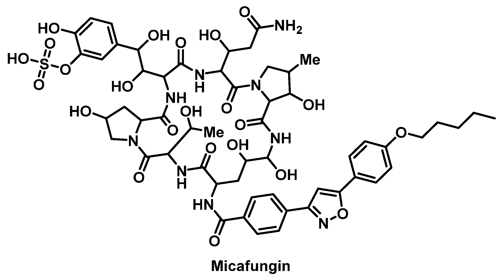 Pharmacy 07 00112 g017