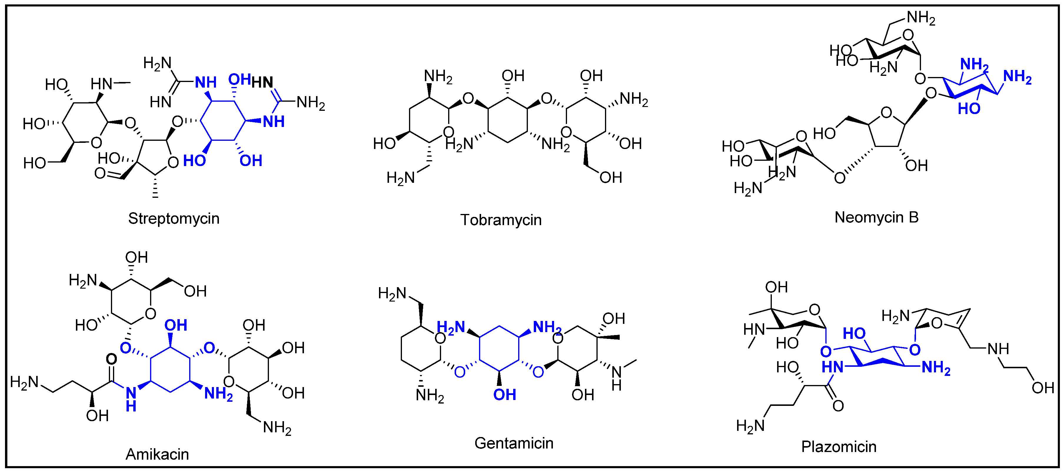 Pharmacy 07 00124 g001