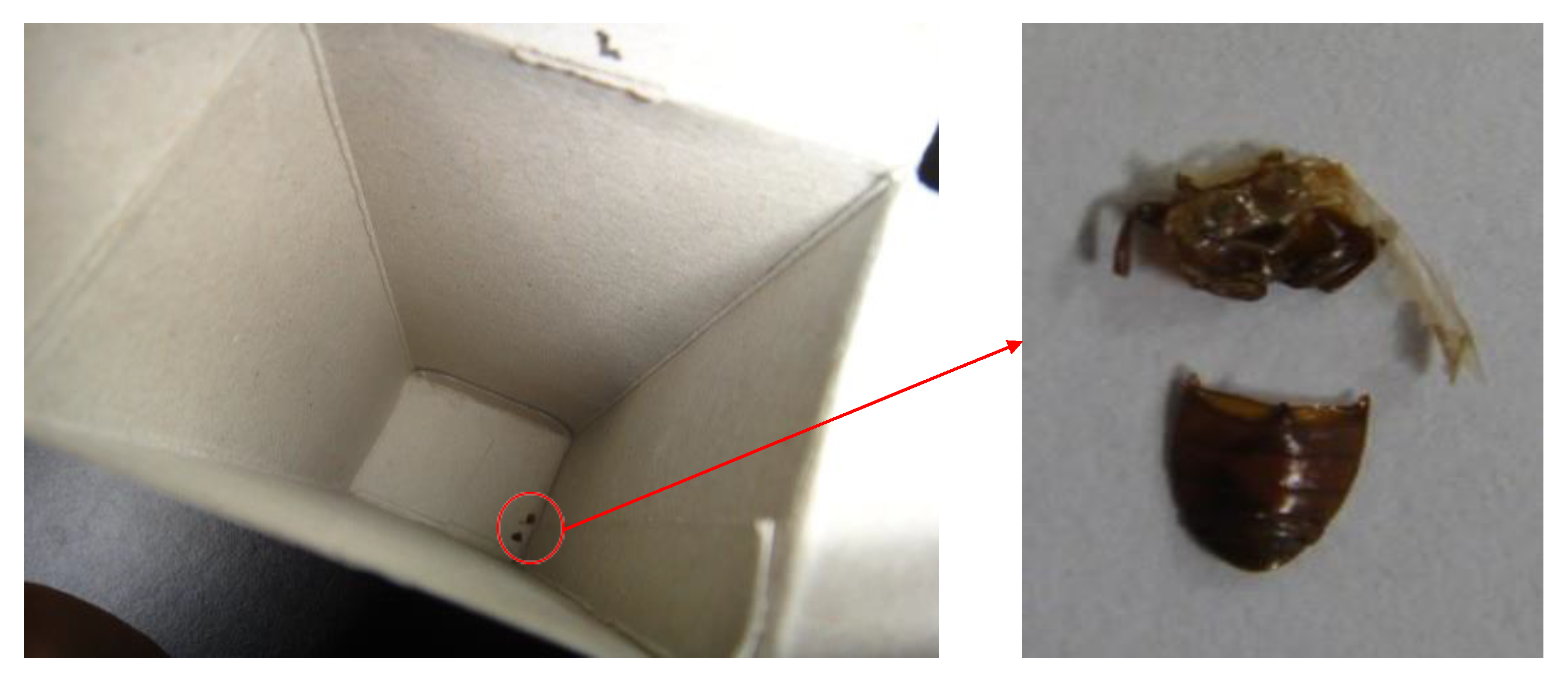 Pharmacy 08 00045 g002