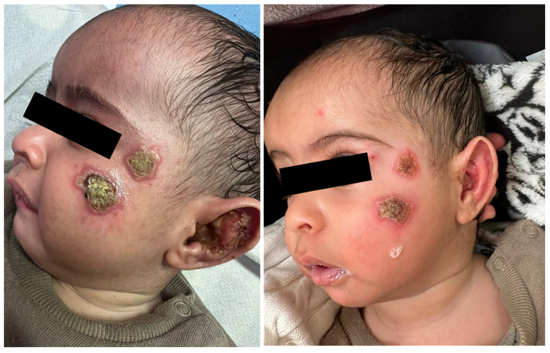 Pharmacy 12 00030 g003 Pharmacy 12 00030 g003