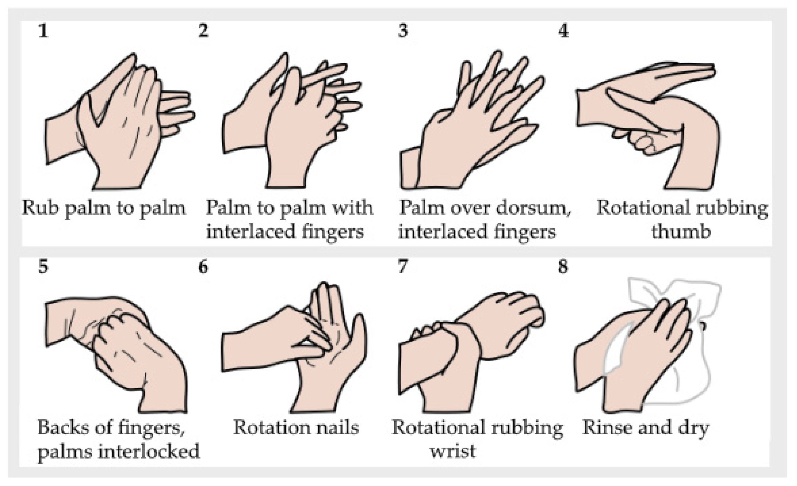 Pharmacy 12 00073 g001