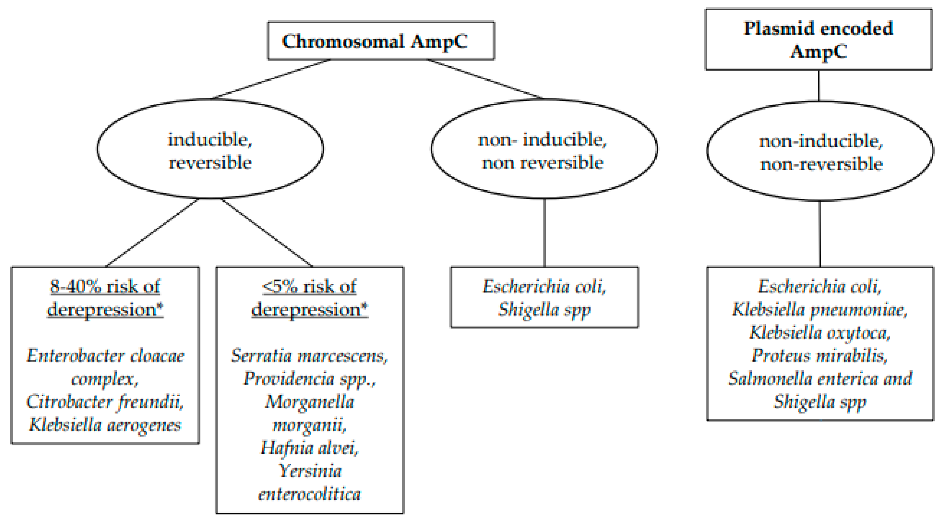 Pharmacy 12 00142 g001