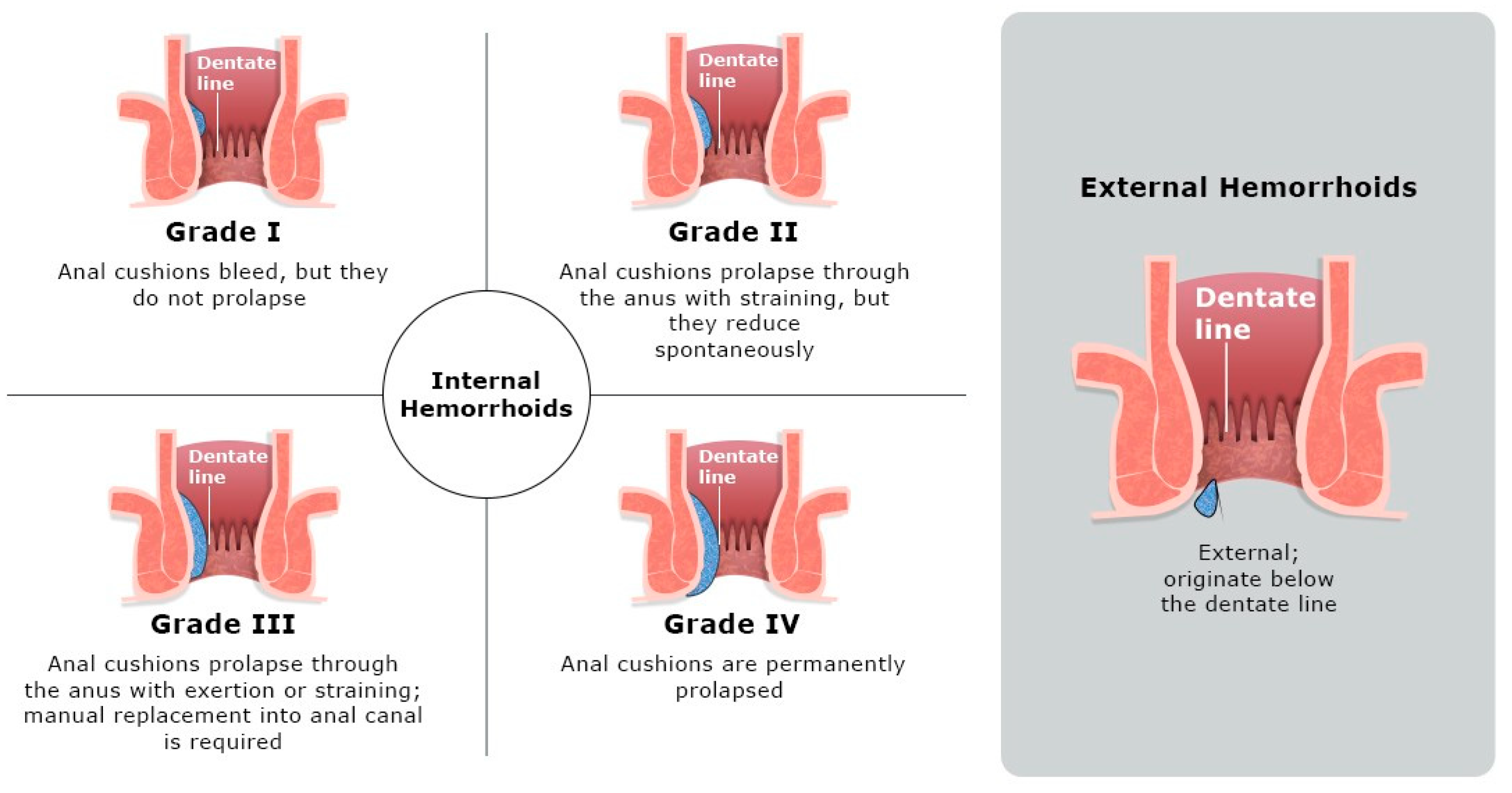 Pharmacy 13 00105 g001 Pharmacy 13 00105 g001