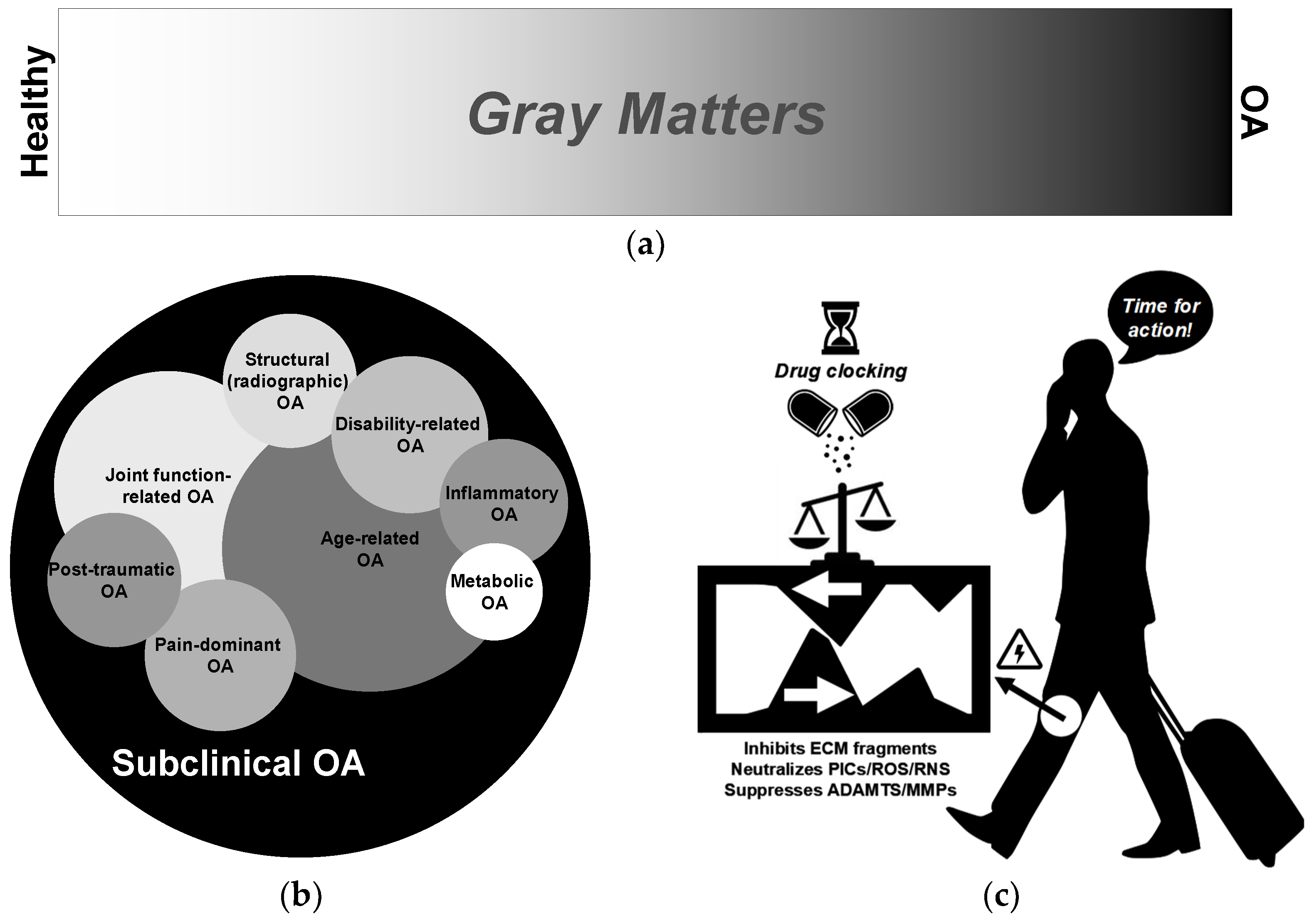Pharmacy 13 00106 g002