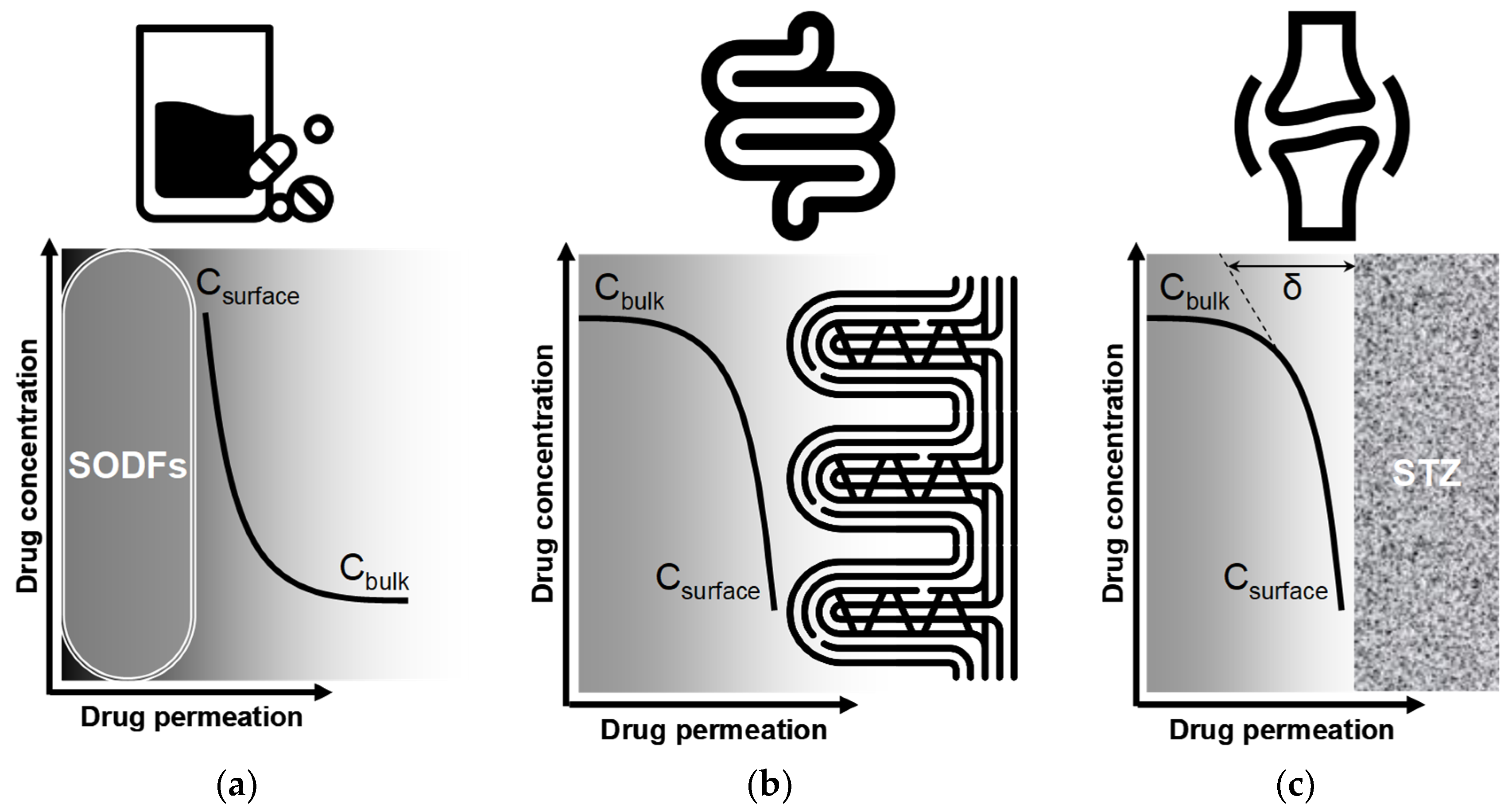 Pharmacy 13 00106 g004