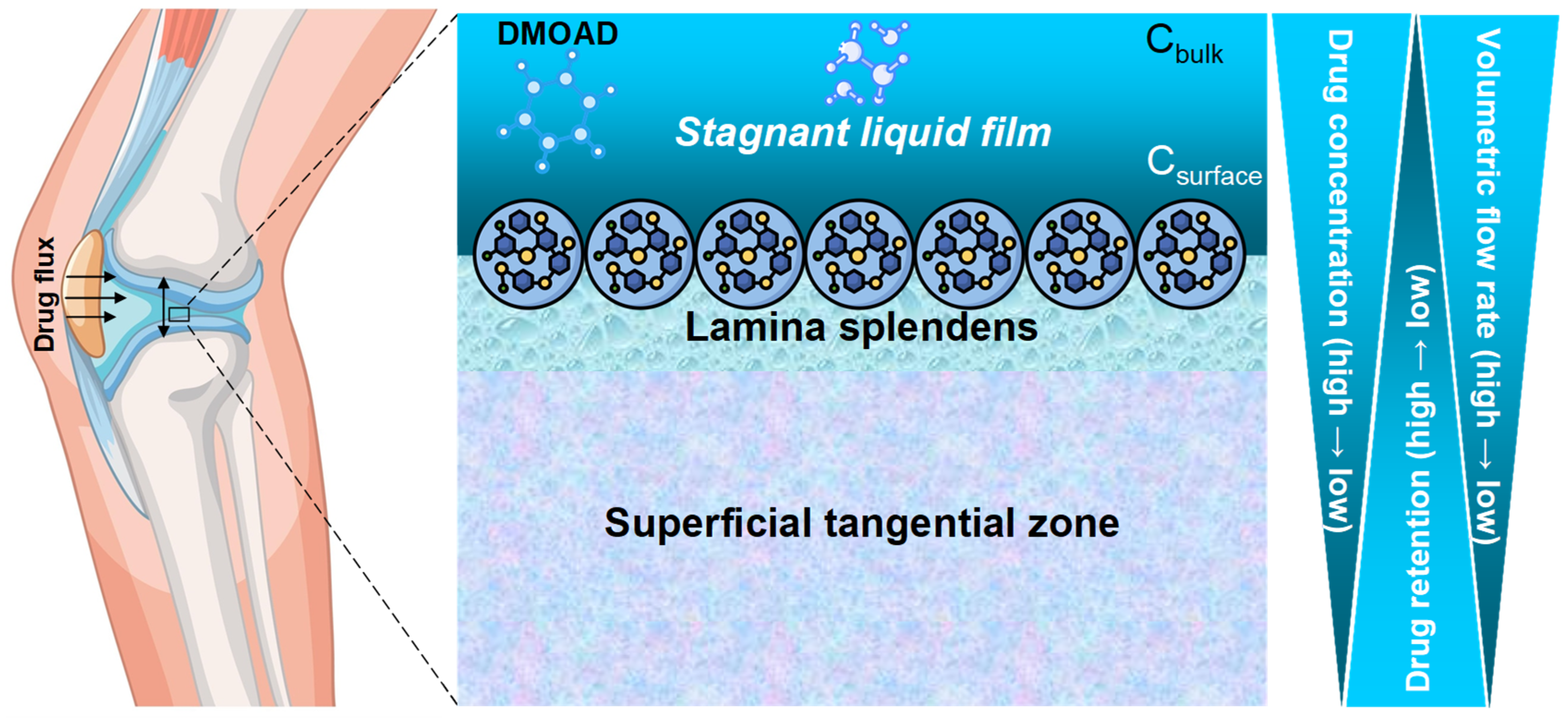 Pharmacy 13 00106 g005