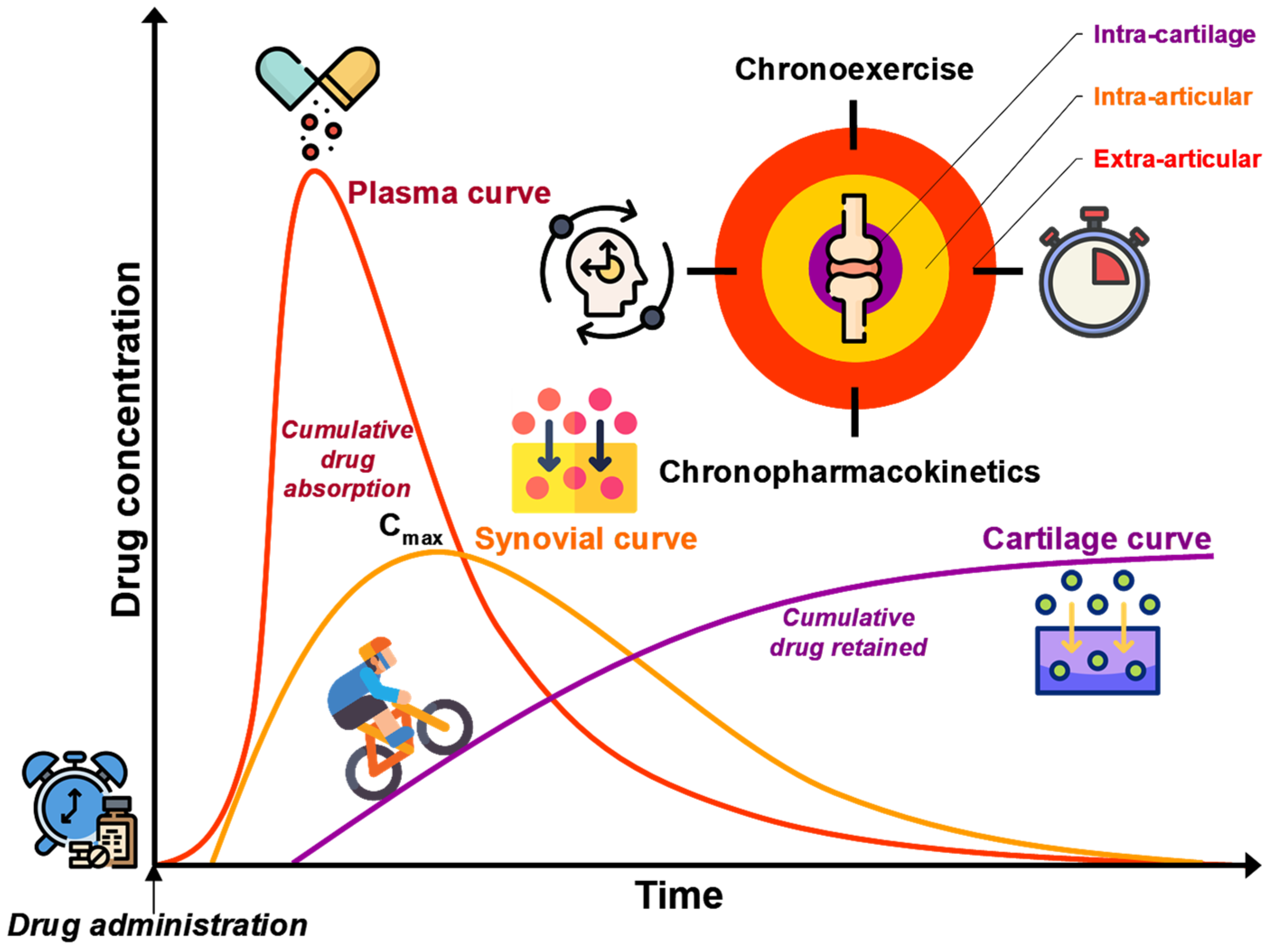 Pharmacy 13 00106 g006