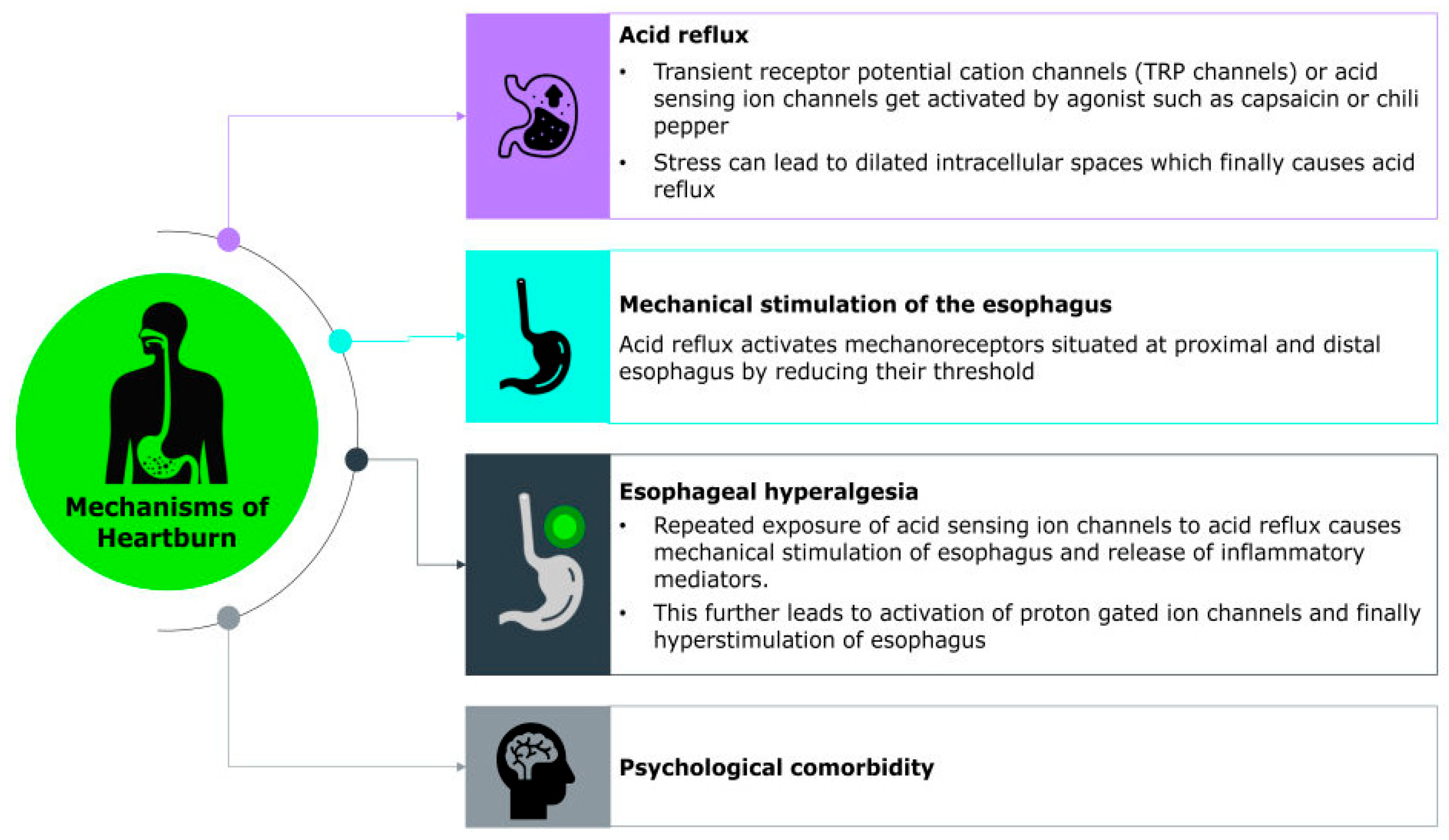 Pharmacy 13 00124 g001