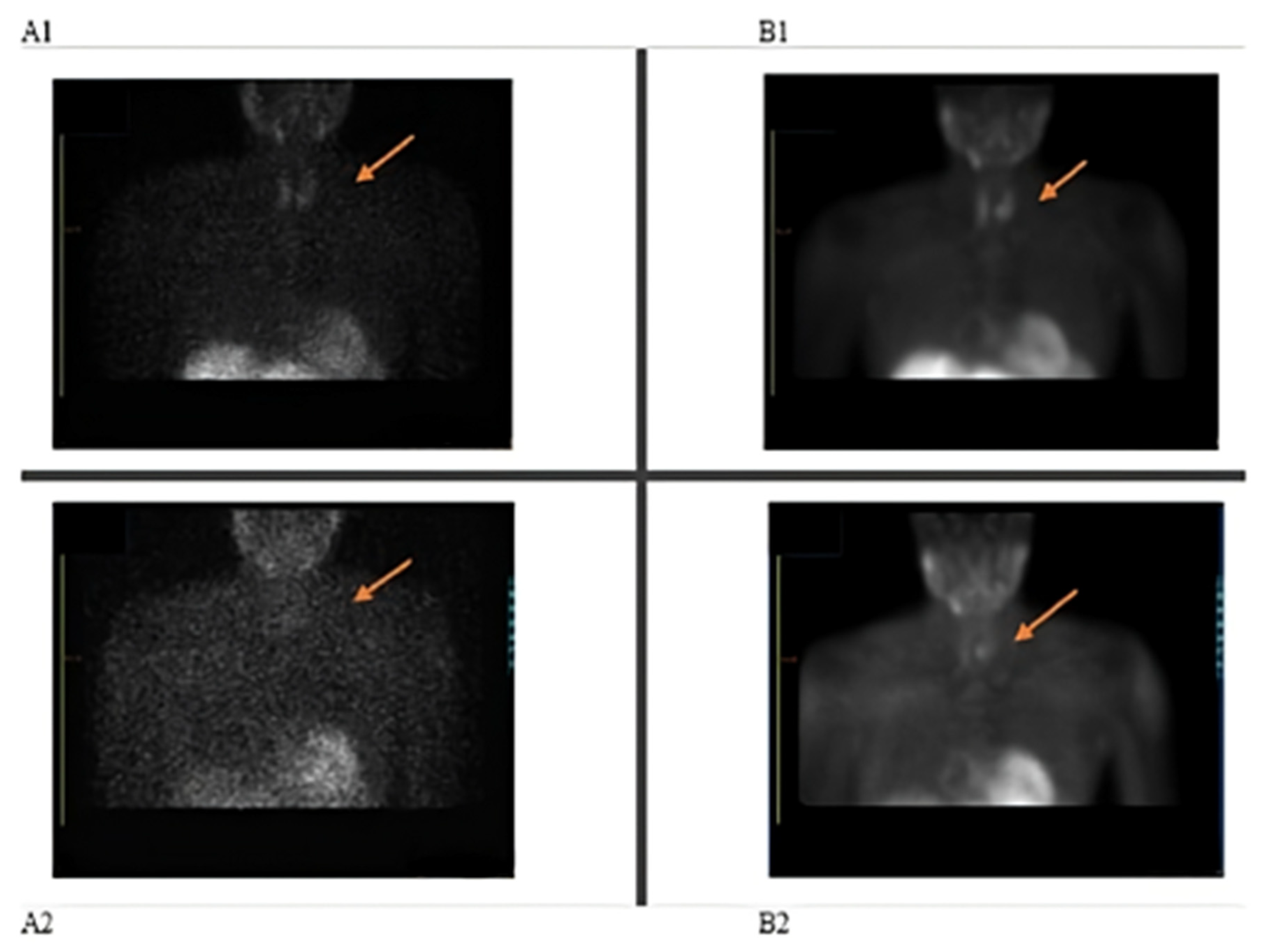 Pharmacy 13 00140 g001