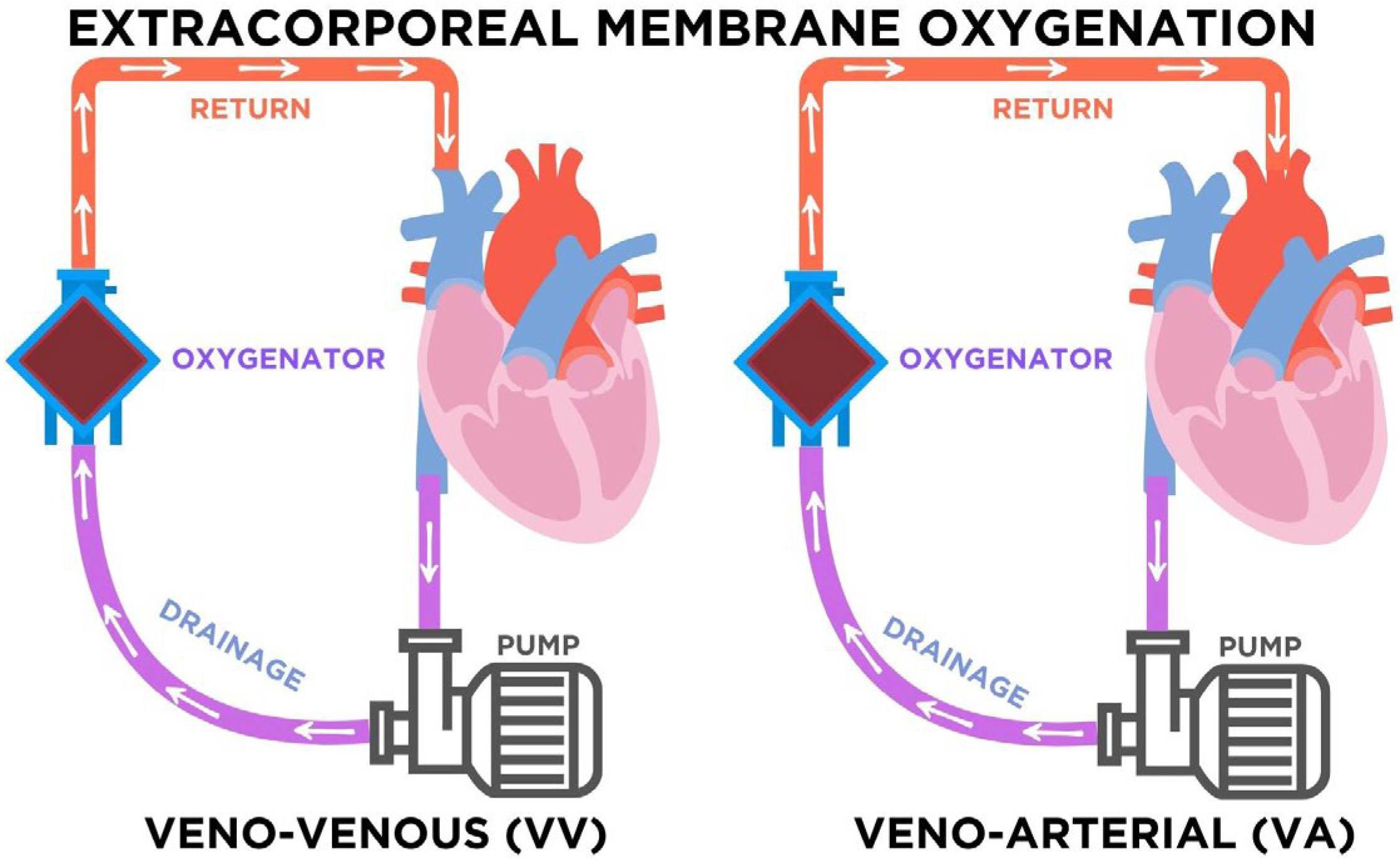 Pharmacy 13 00151 g002