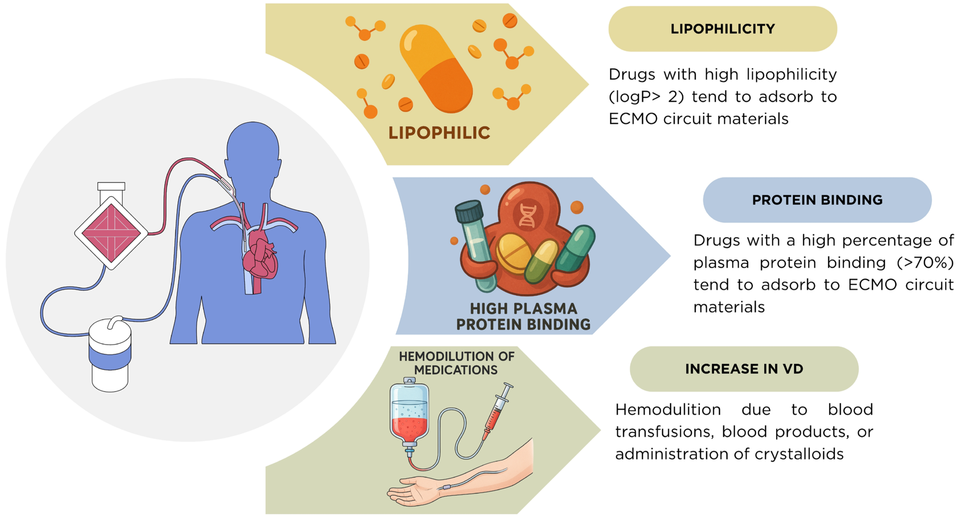 Pharmacy 13 00151 g003