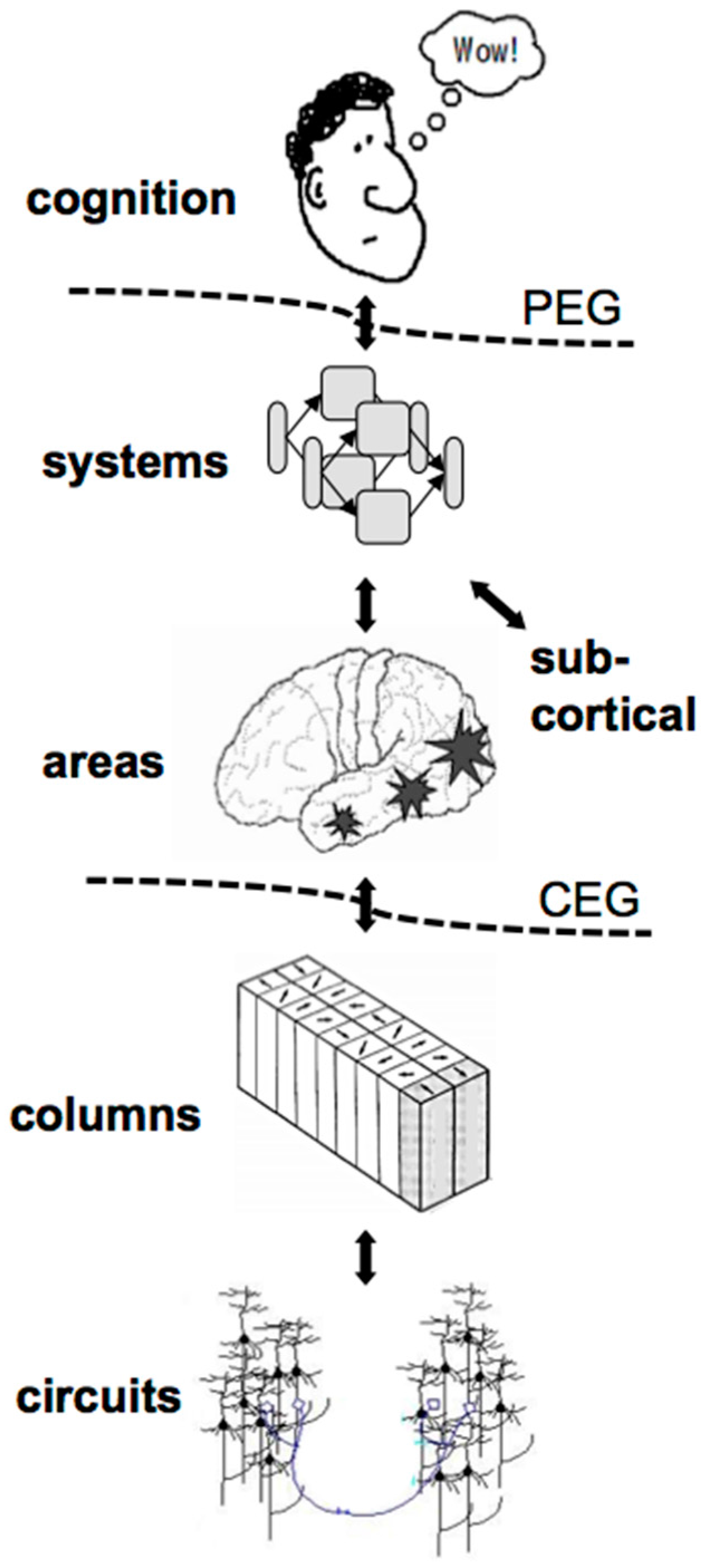 Philosophies 02 00005 g002