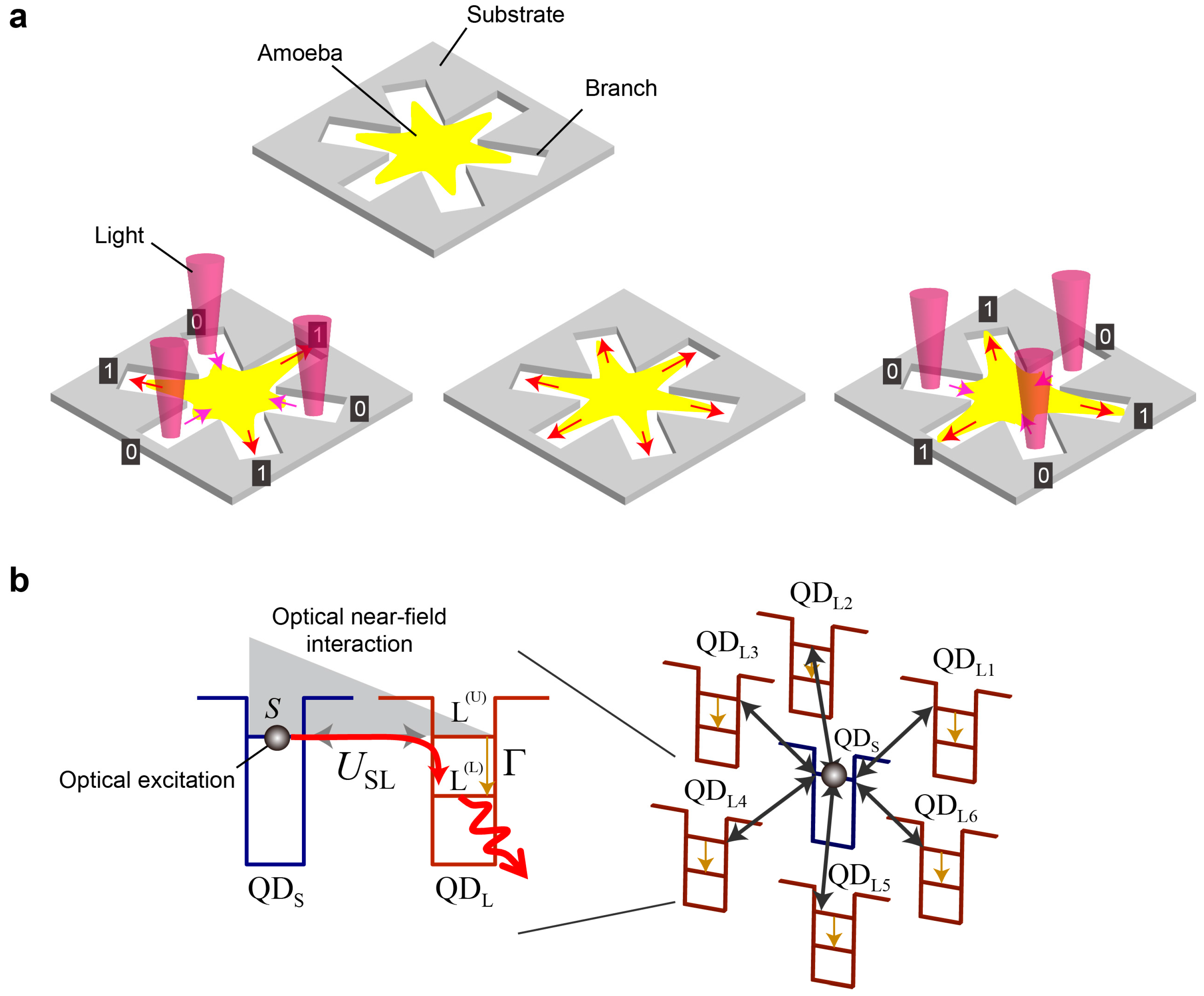 Philosophies 02 00016 g001