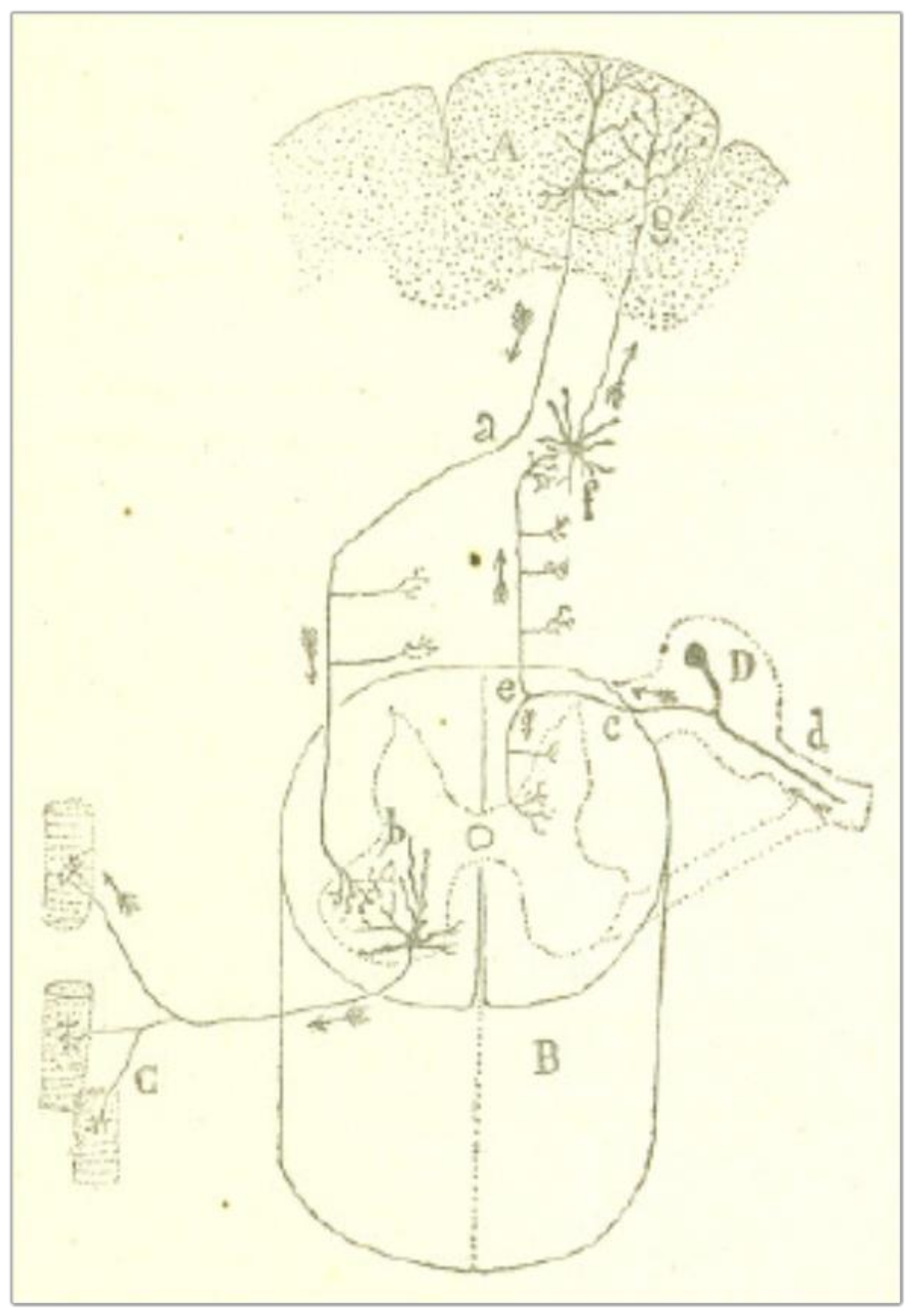 Philosophies 03 00011 g002