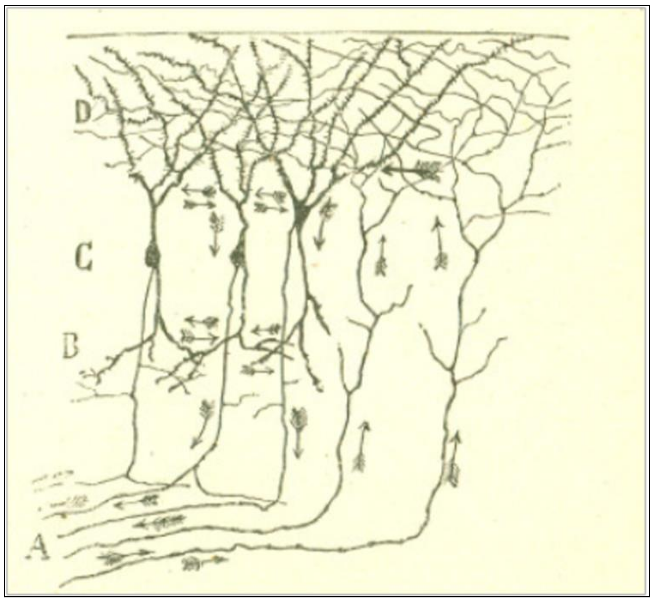 Philosophies 03 00011 g003