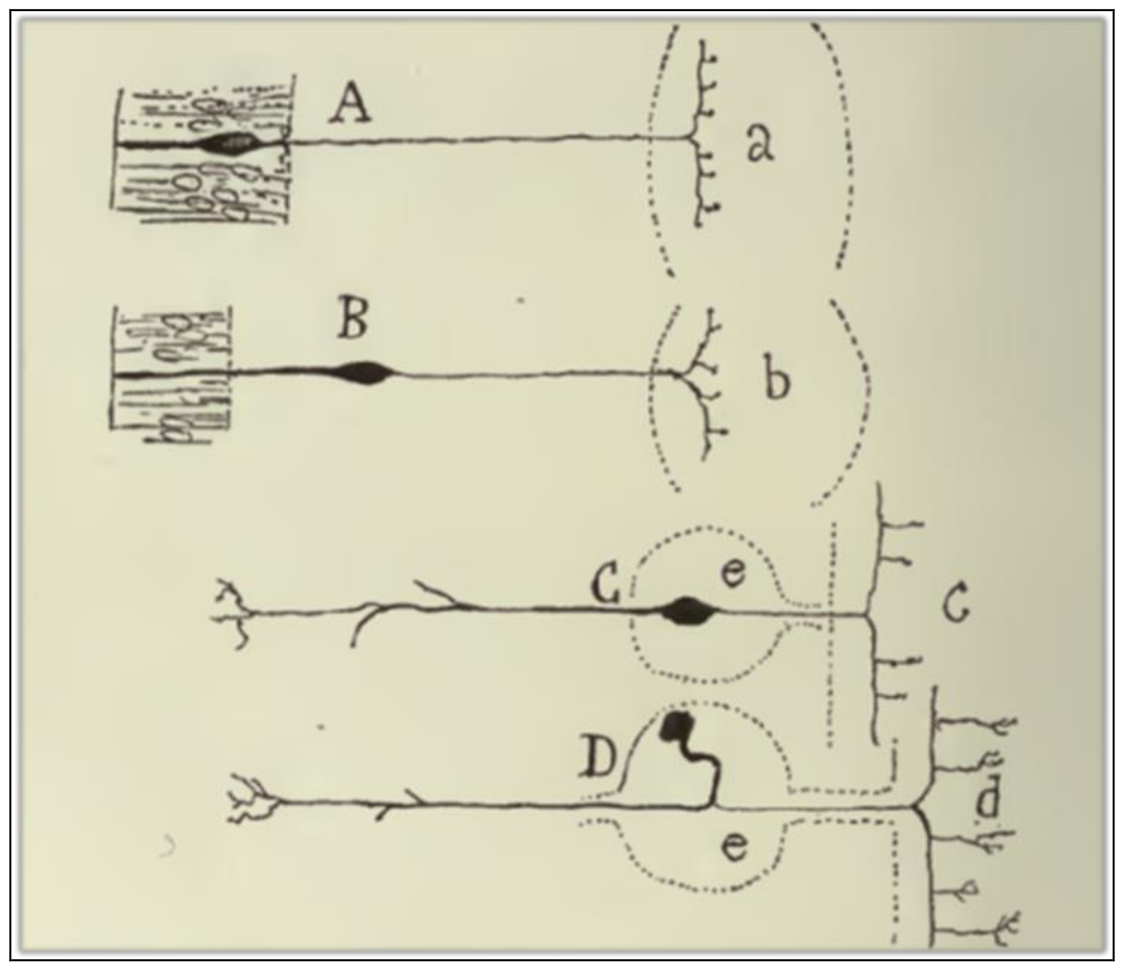 Philosophies 03 00011 g004