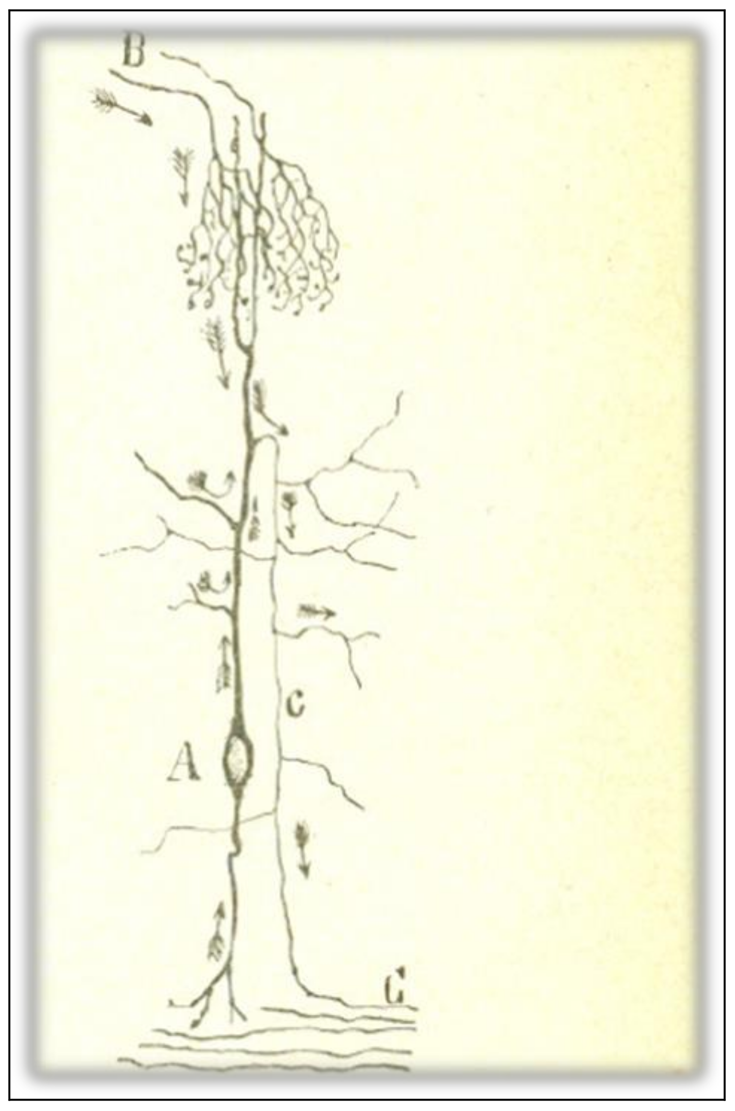 Philosophies 03 00011 g005