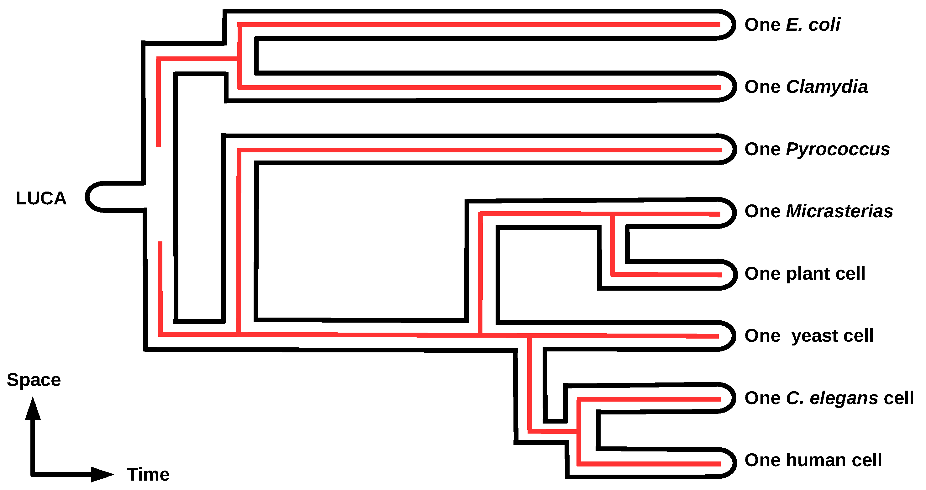 Philosophies 03 00029 g005