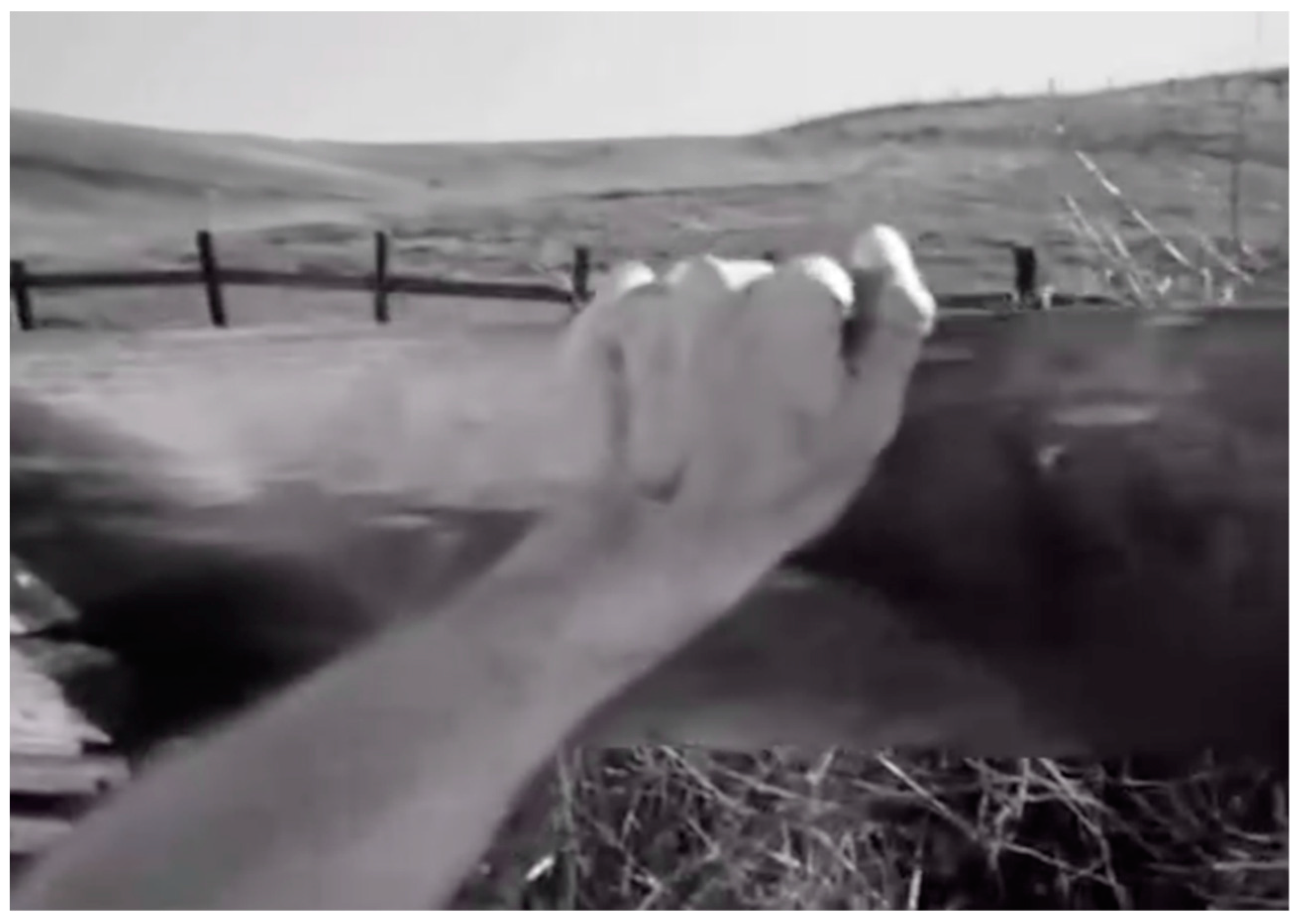 Philosophies 04 00047 g012