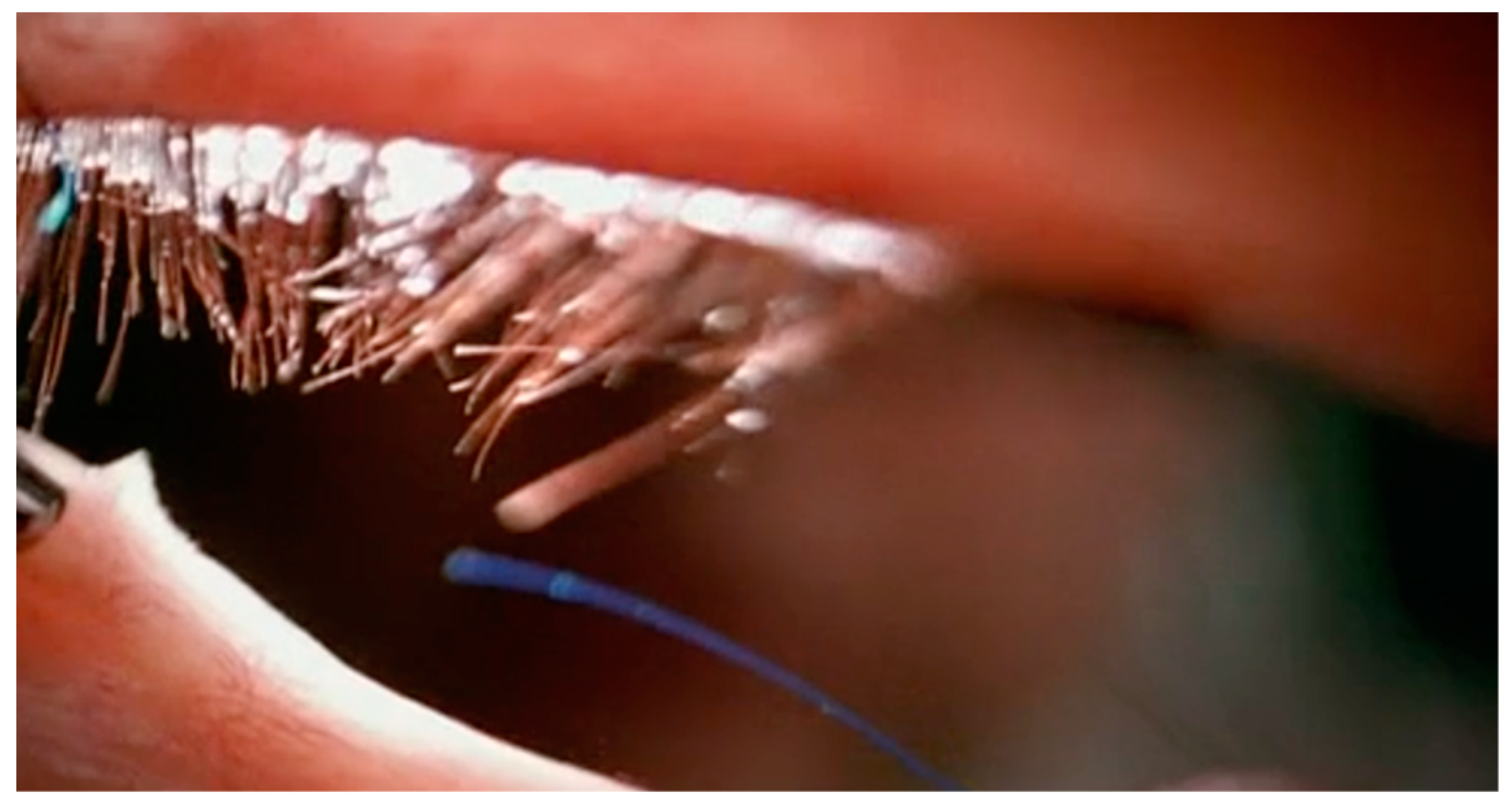 Philosophies 04 00047 g022