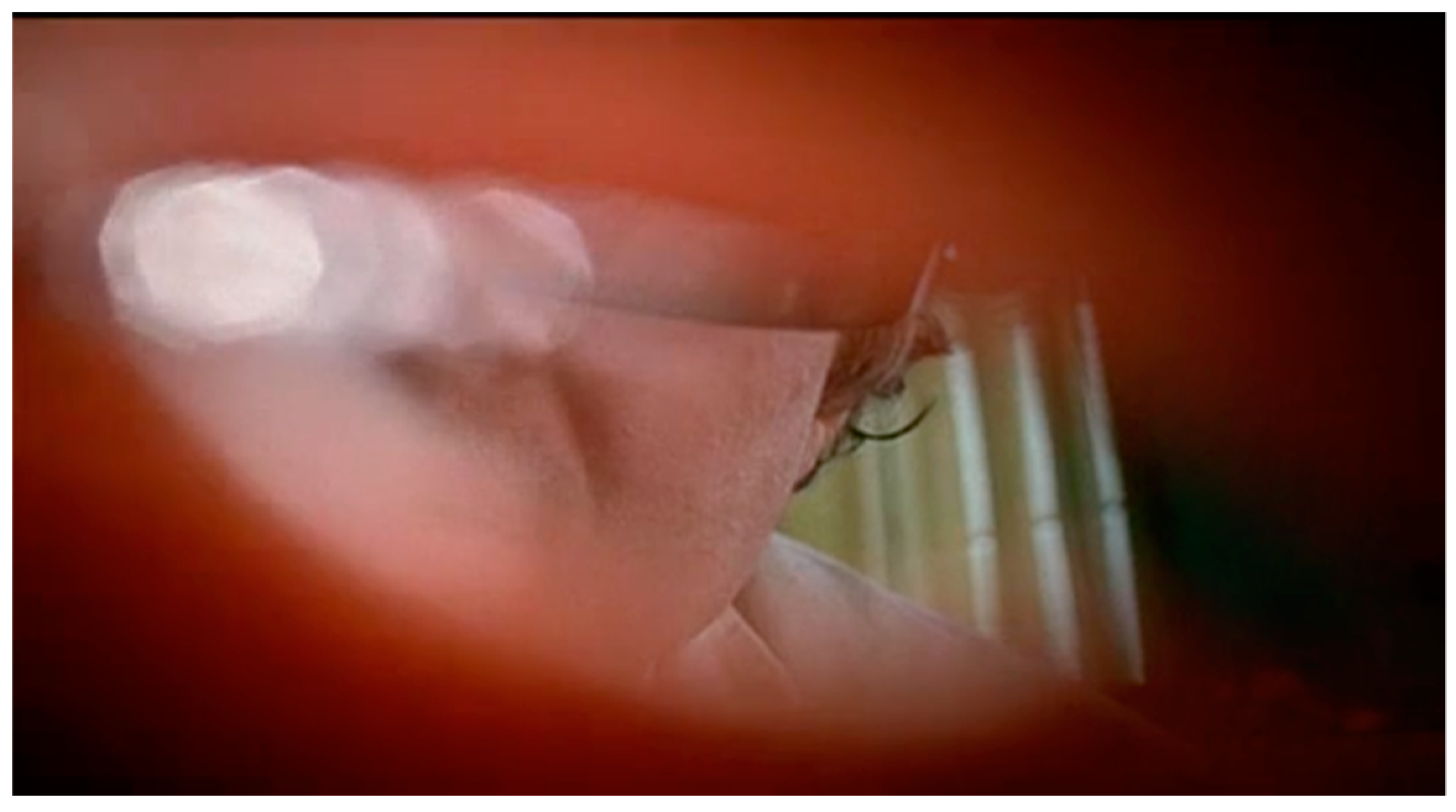 Philosophies 04 00047 g023