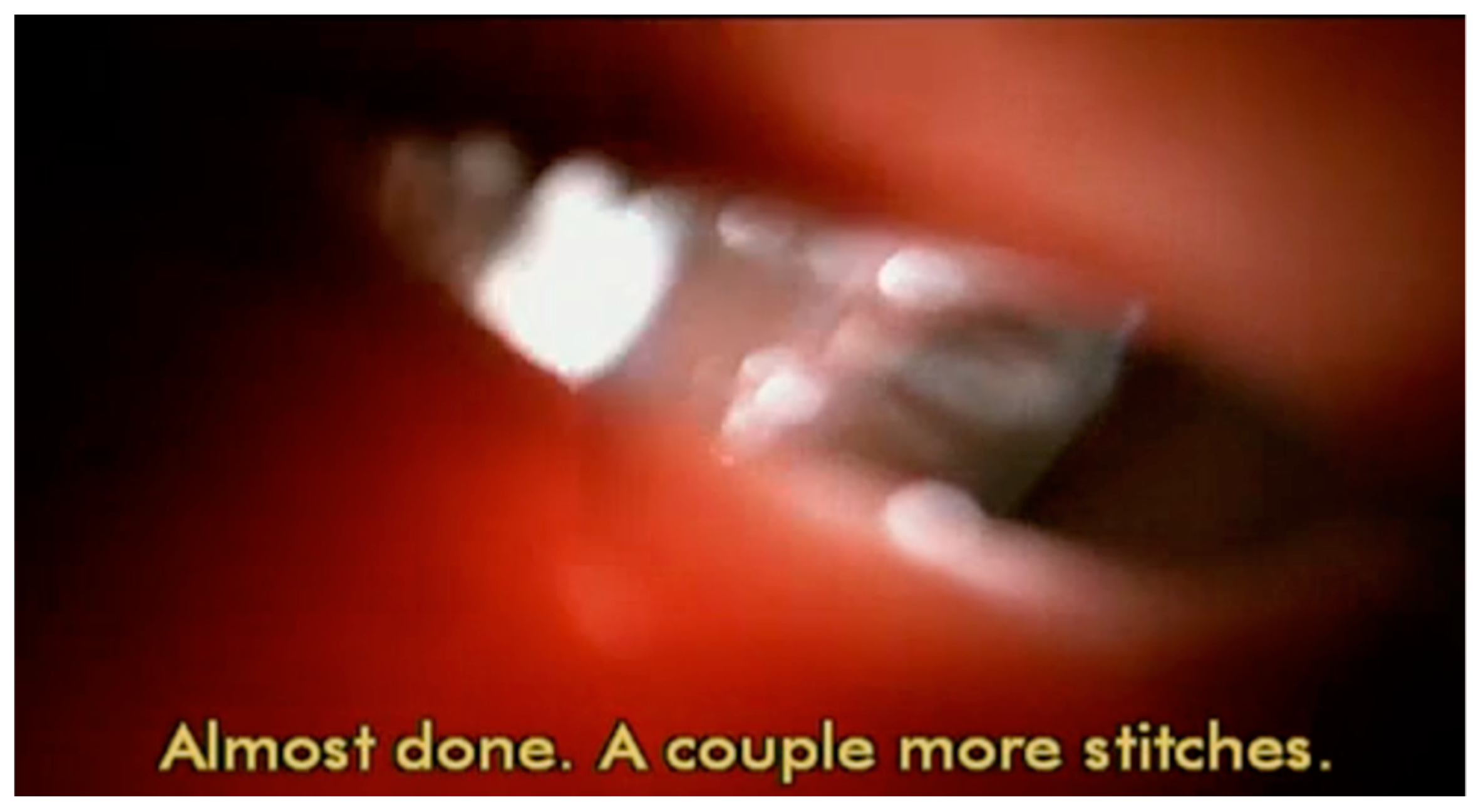 Philosophies 04 00047 g024