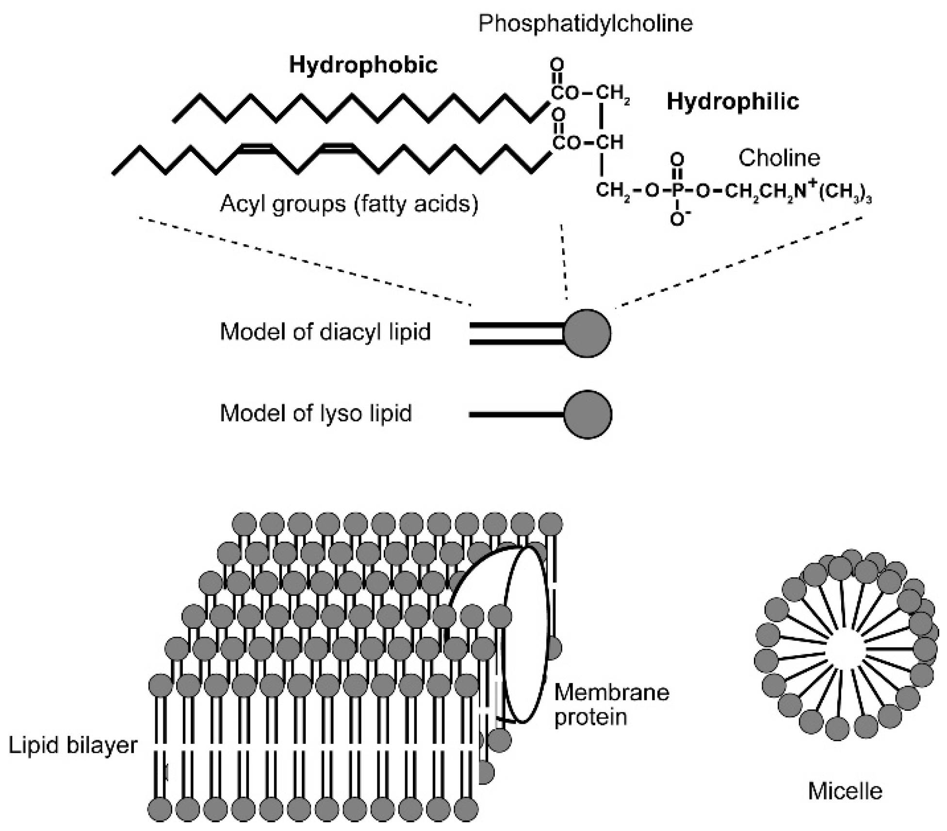 Philosophies 06 00003 g006