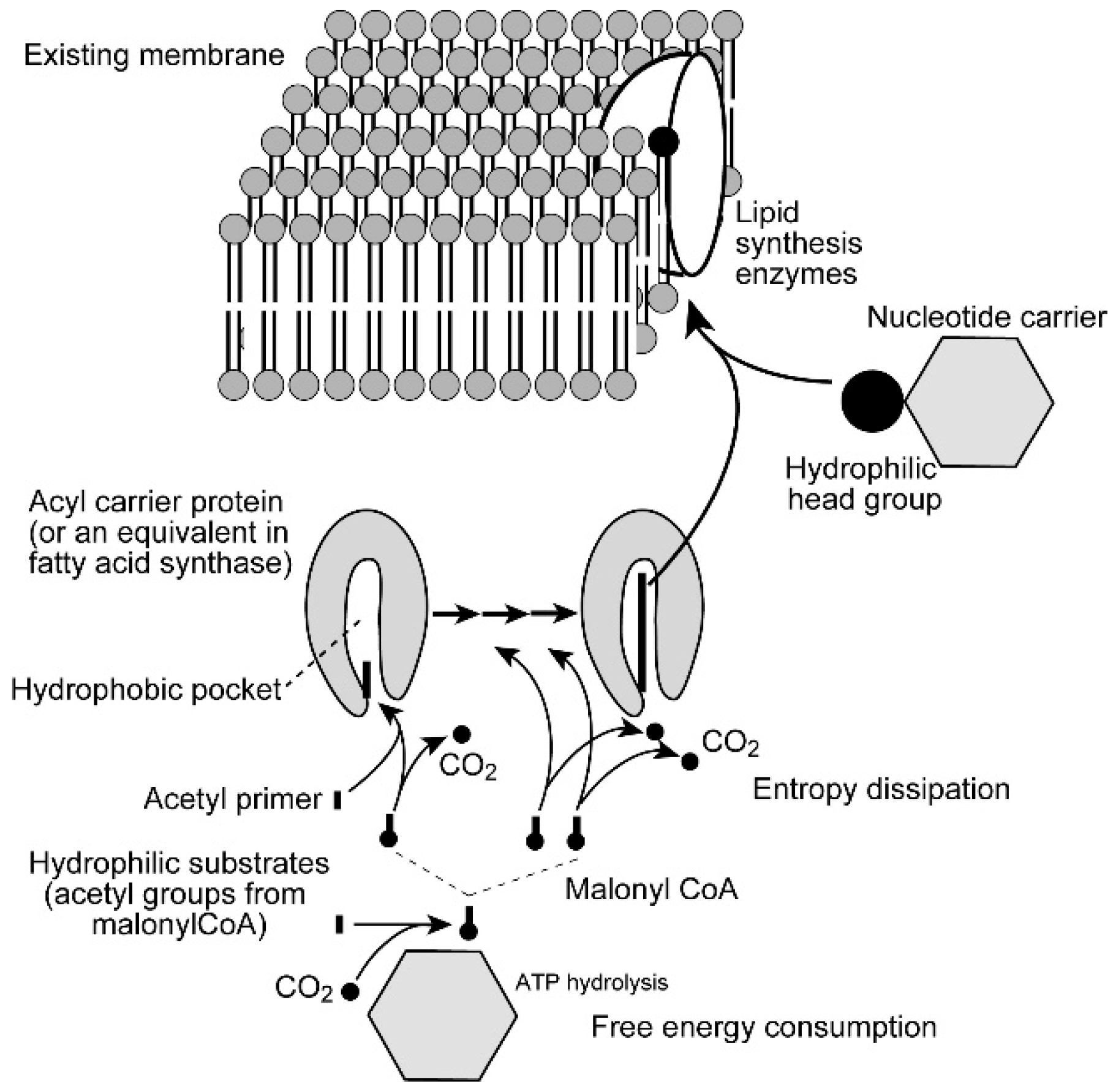 Philosophies 06 00003 g007