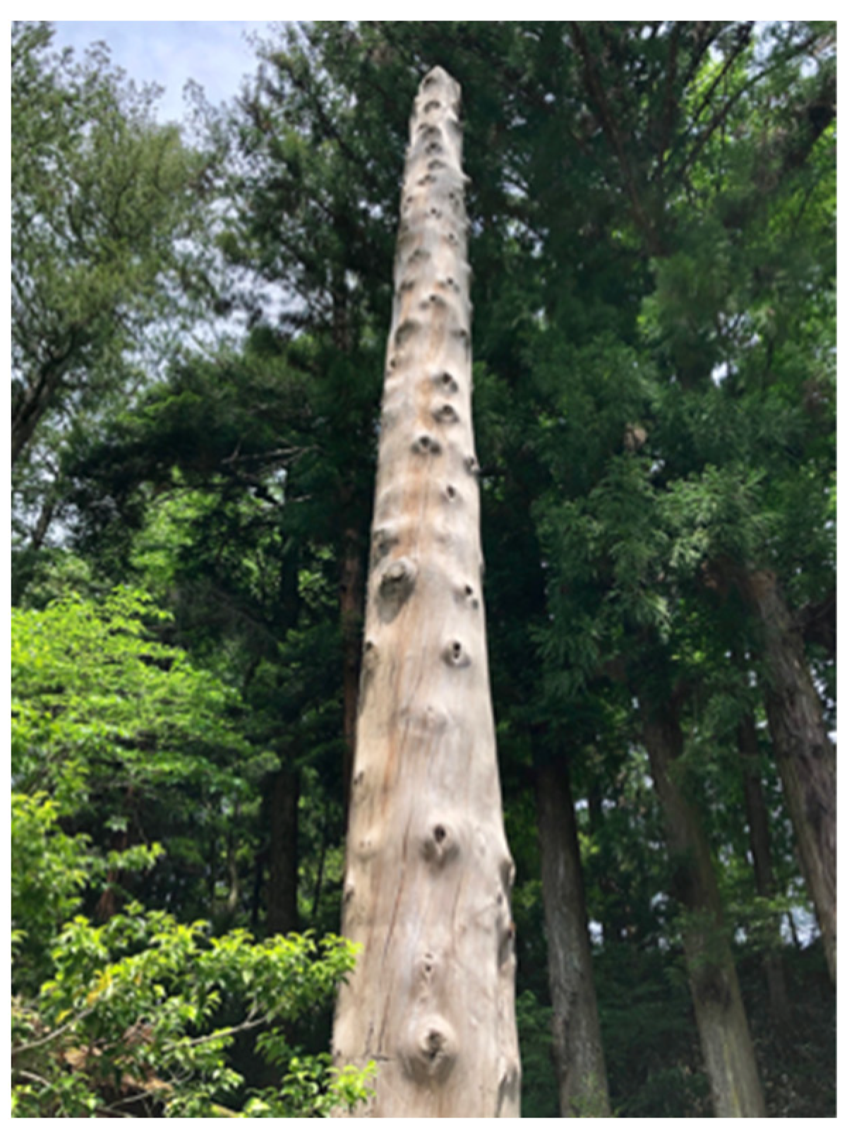 Philosophies 06 00035 g006