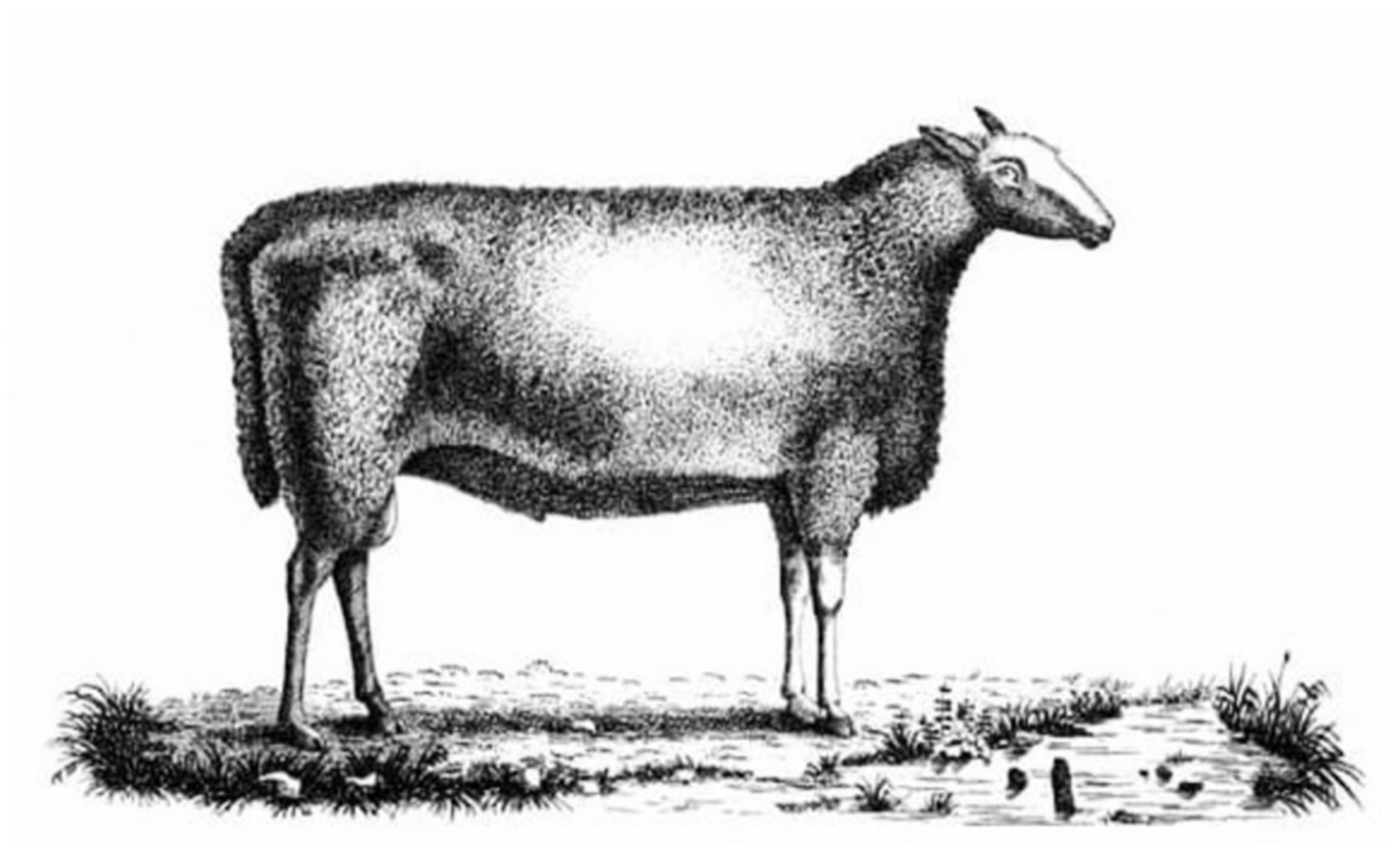 Philosophies 06 00041 g003