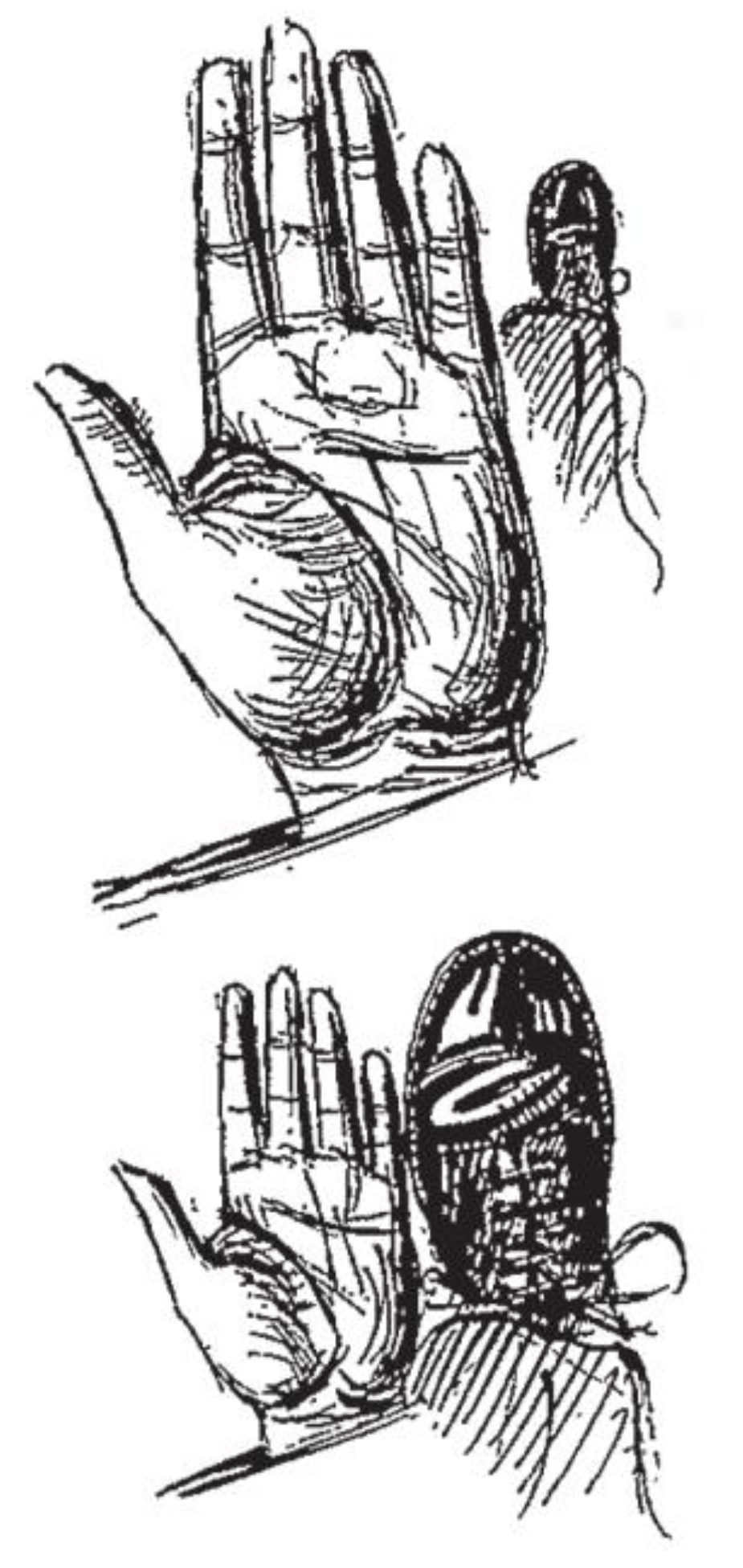 Philosophies 06 00100 g003