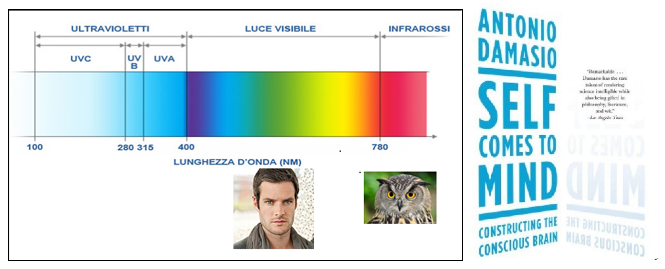 Philosophies 07 00121 g008