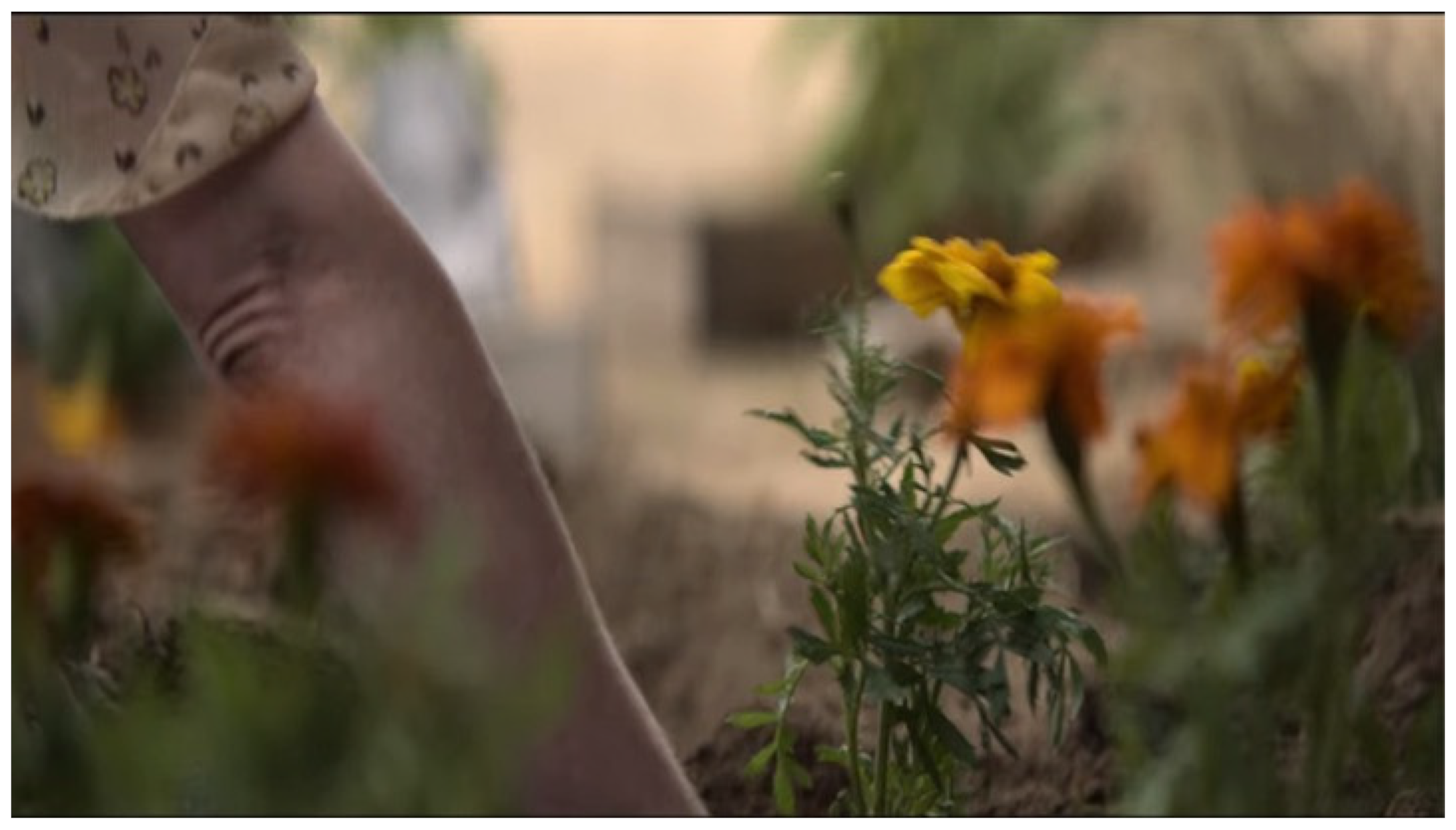 Philosophies 07 00143 g016