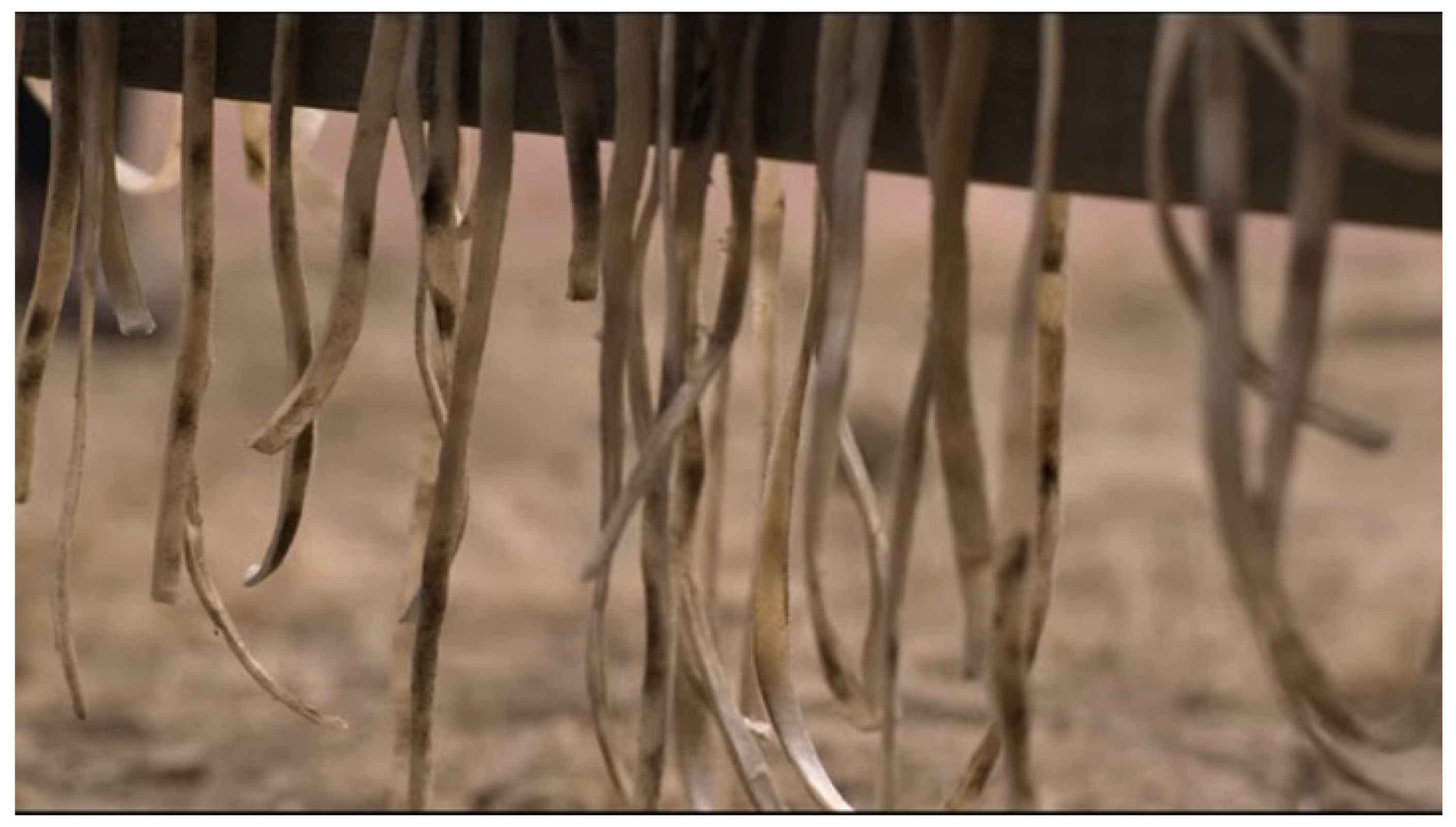 Philosophies 07 00143 g018