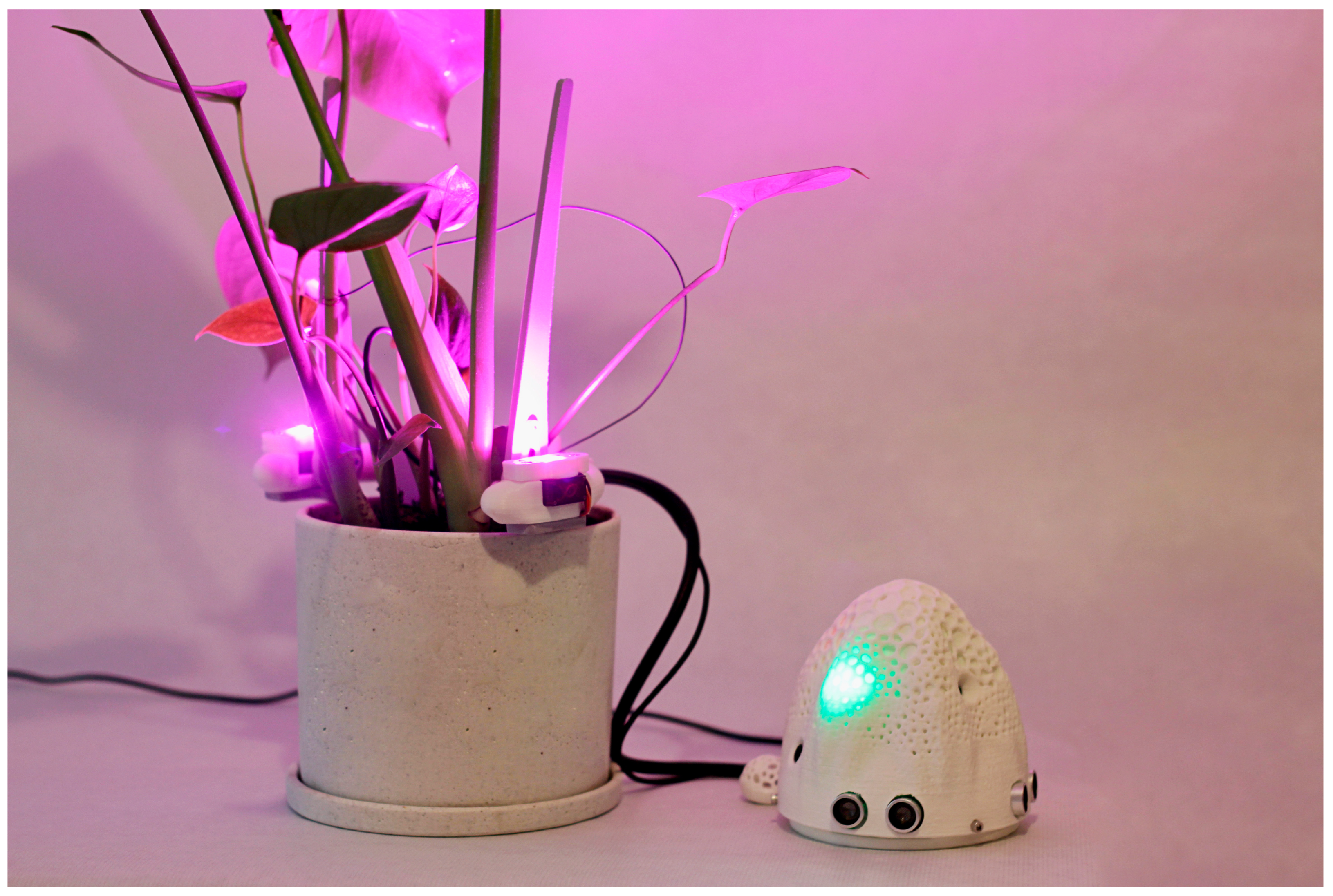 Philosophies 09 00176 g001