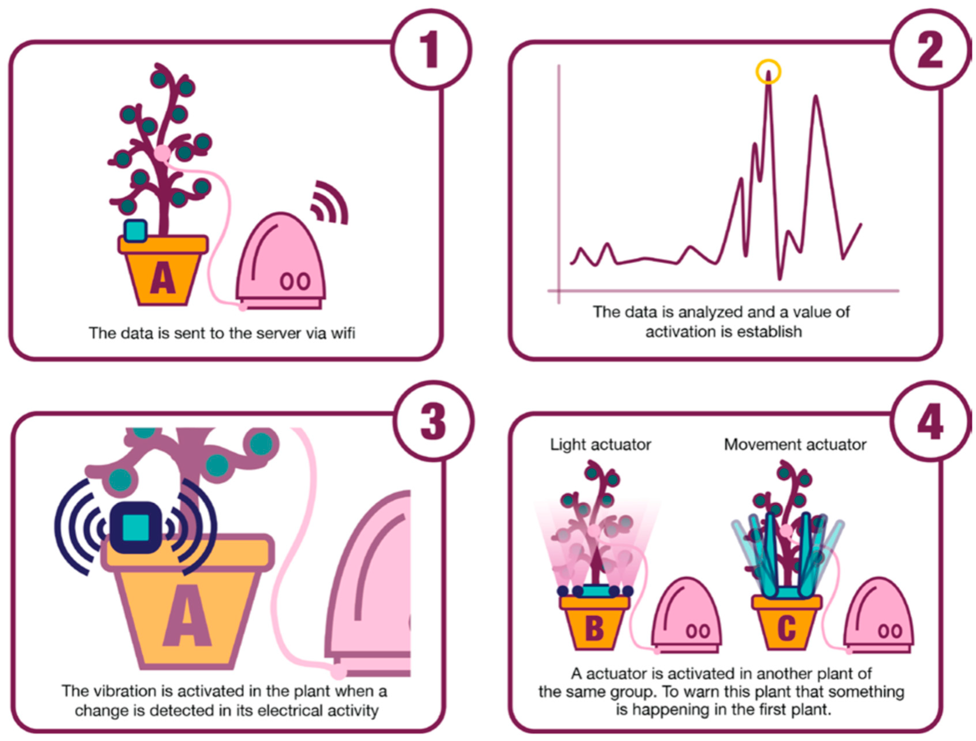 Philosophies 09 00176 g002