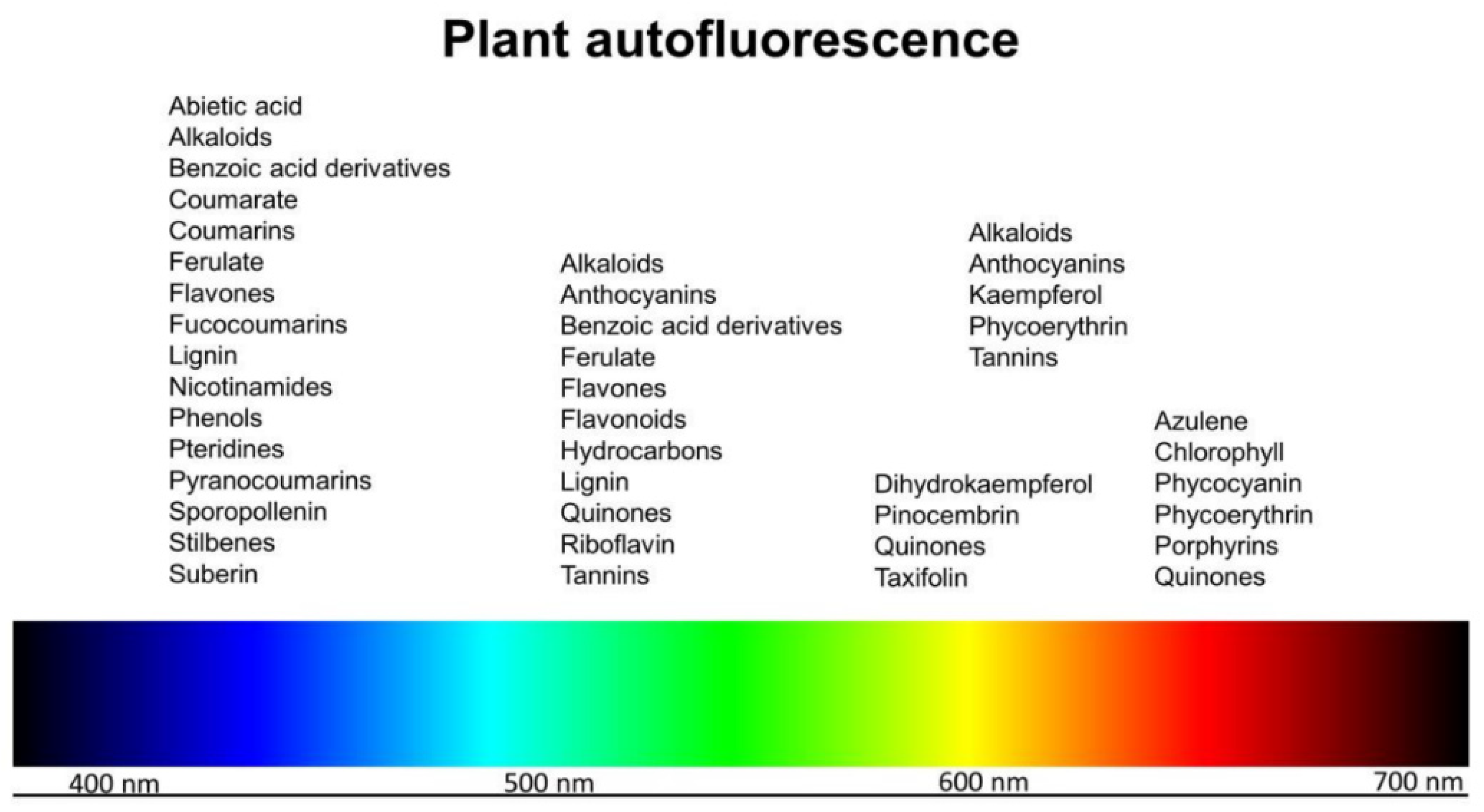 Photochem 01 00007 g002