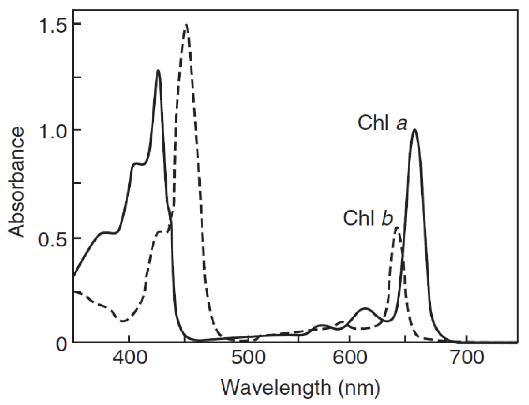 Photochem 01 00007 g003