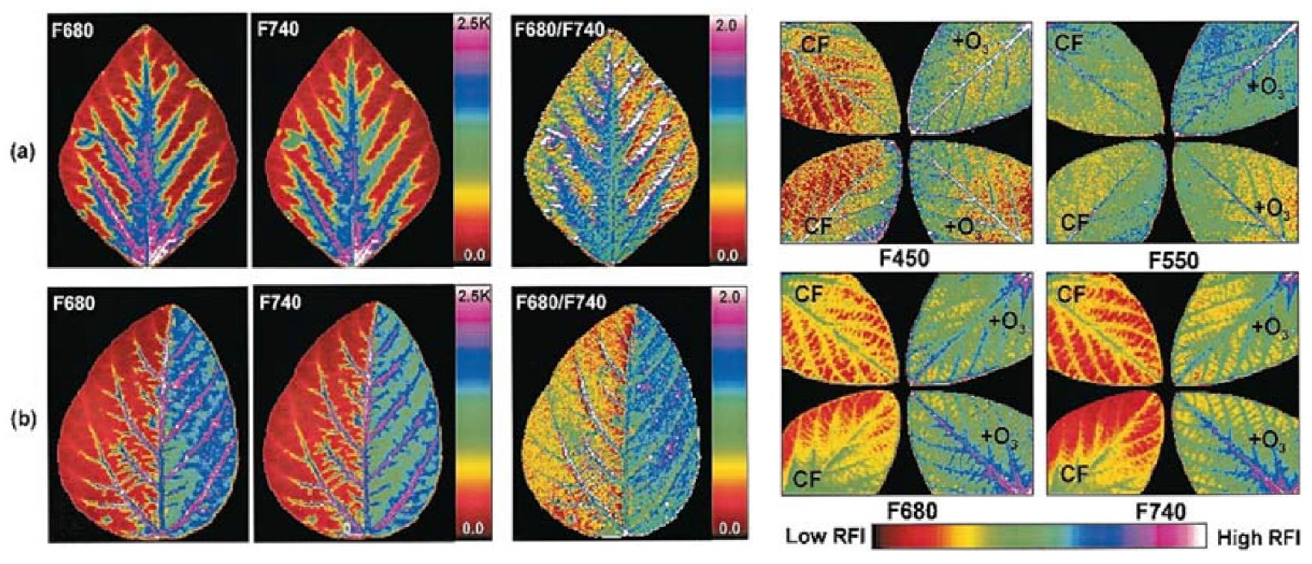 Photochem 01 00007 g005