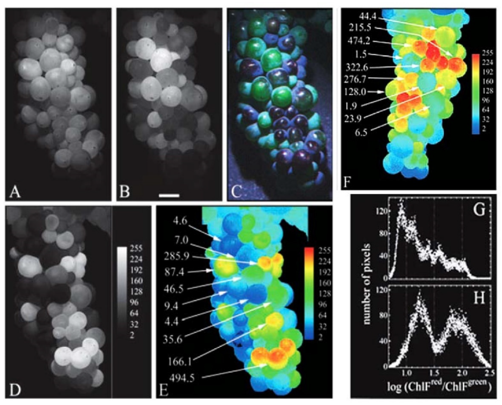 Photochem 01 00007 g006