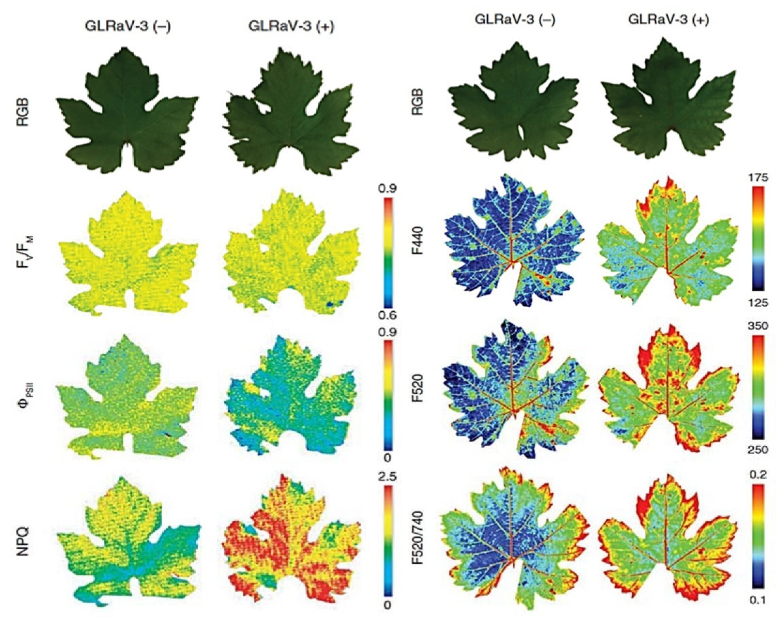 Photochem 01 00007 g007
