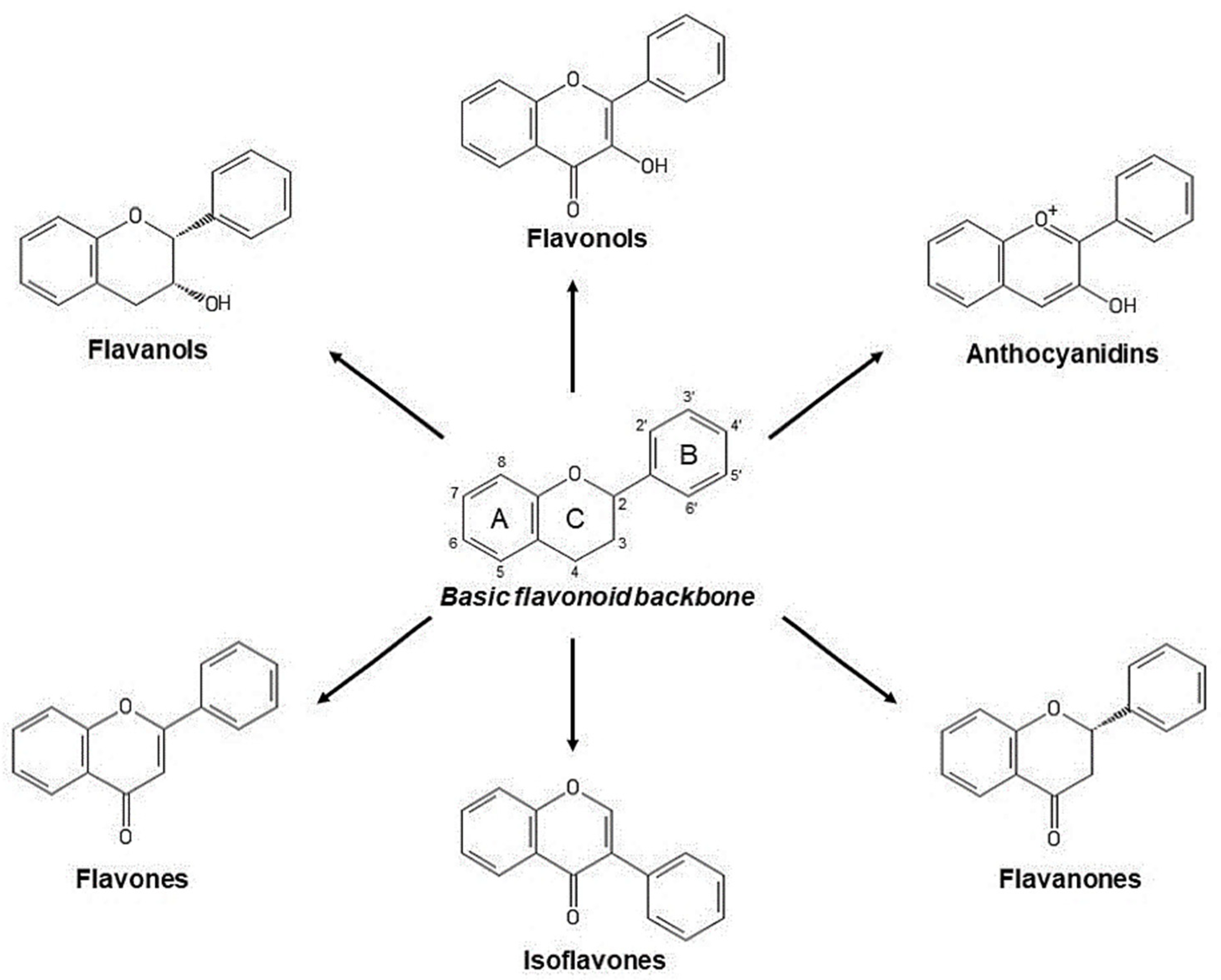 Photochem 01 00007 g008