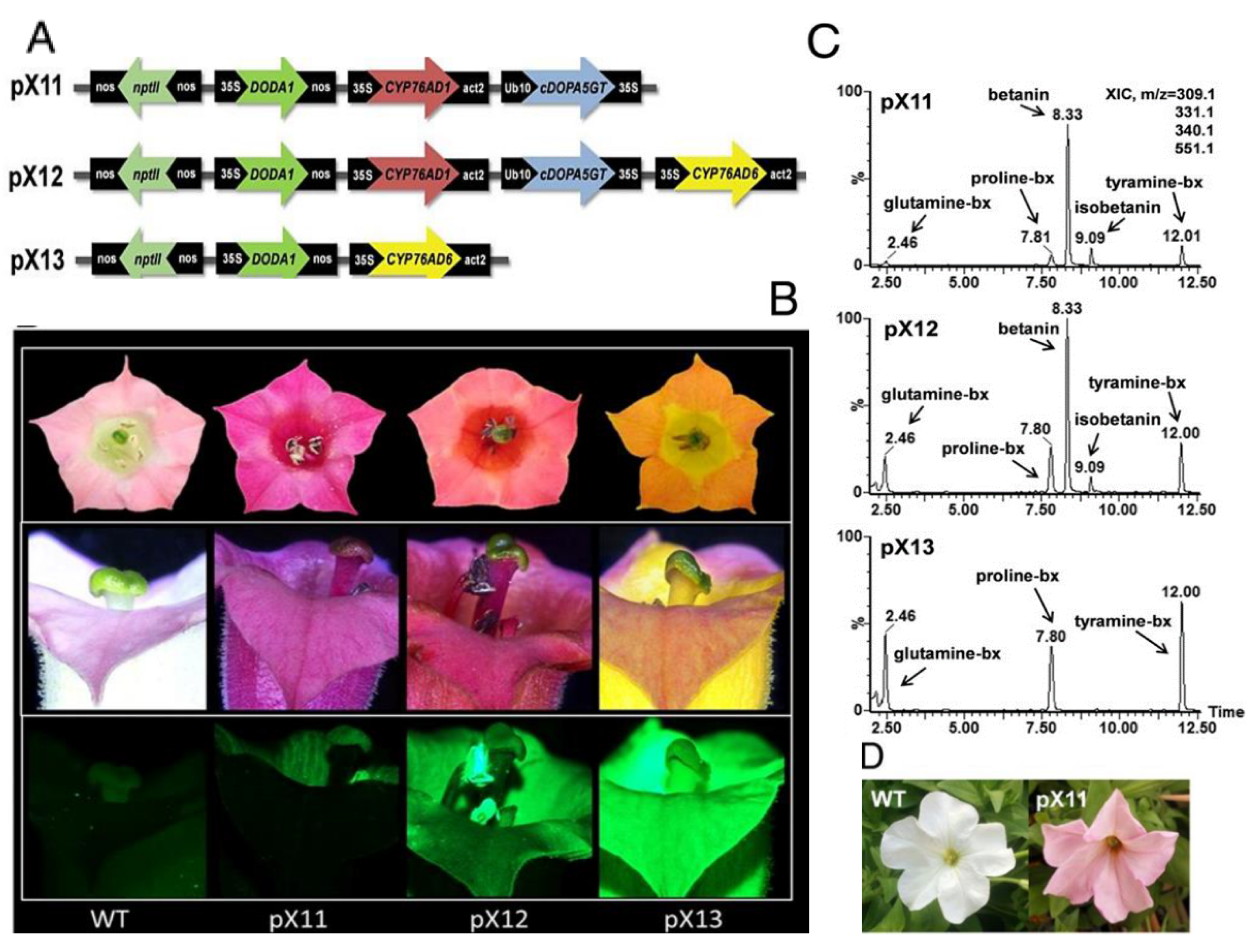 Photochem 01 00007 g011
