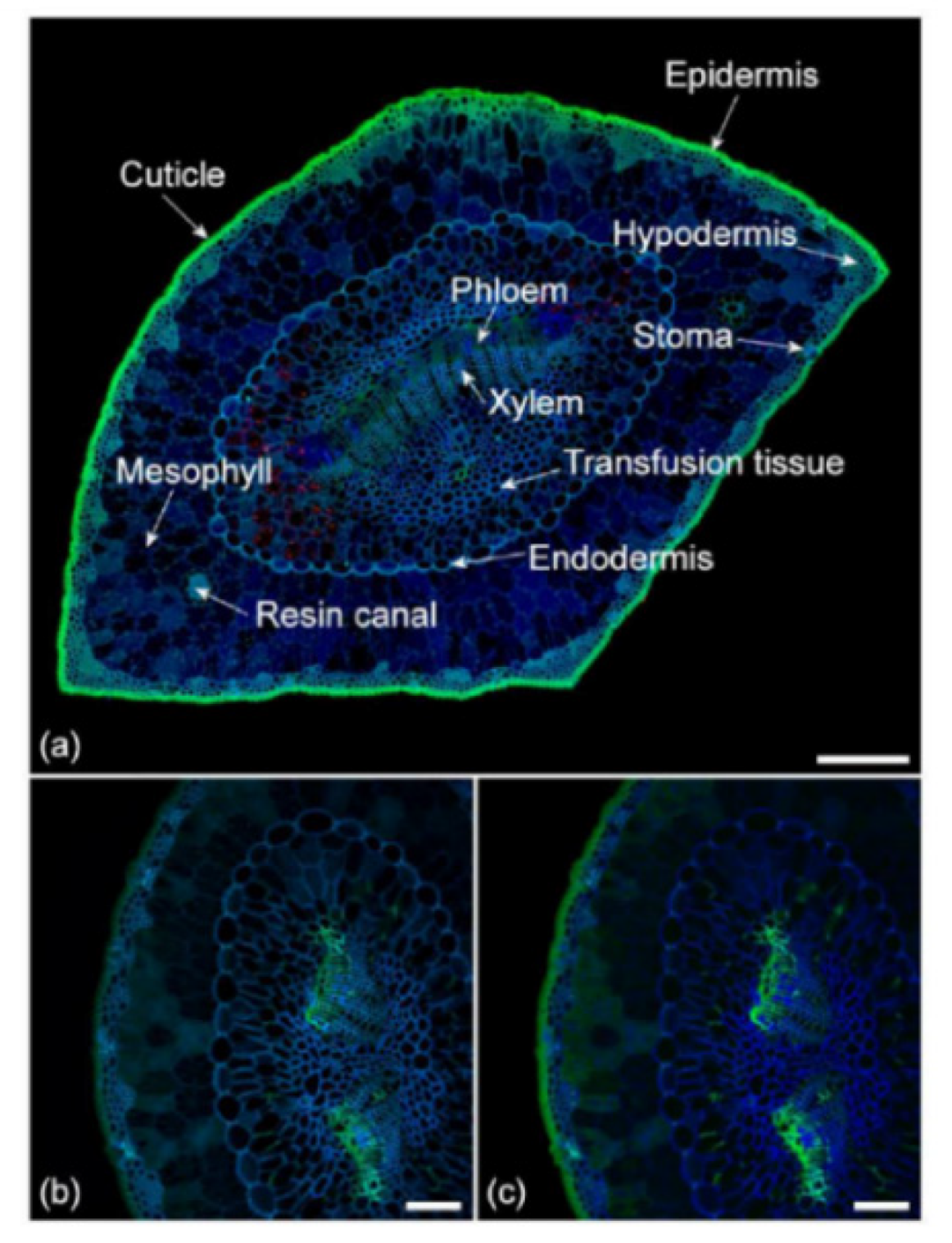 Photochem 01 00007 g014