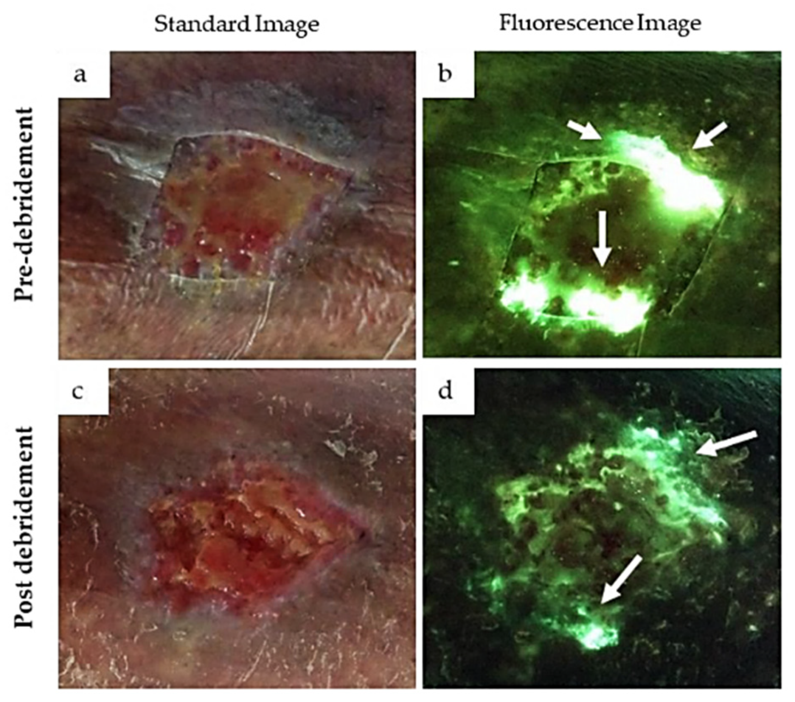 Photochem 01 00007 g015